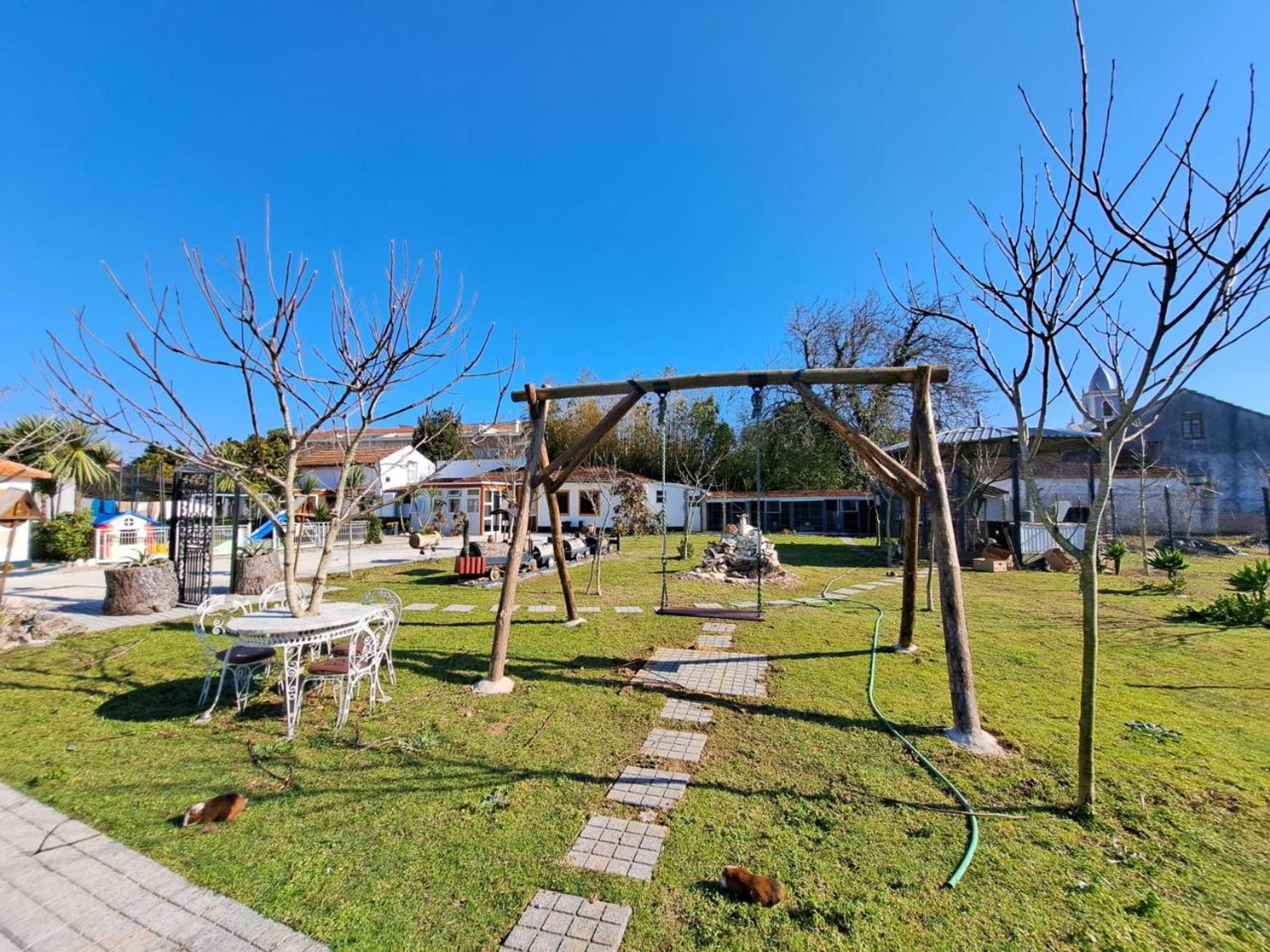 Gift card for Centenária