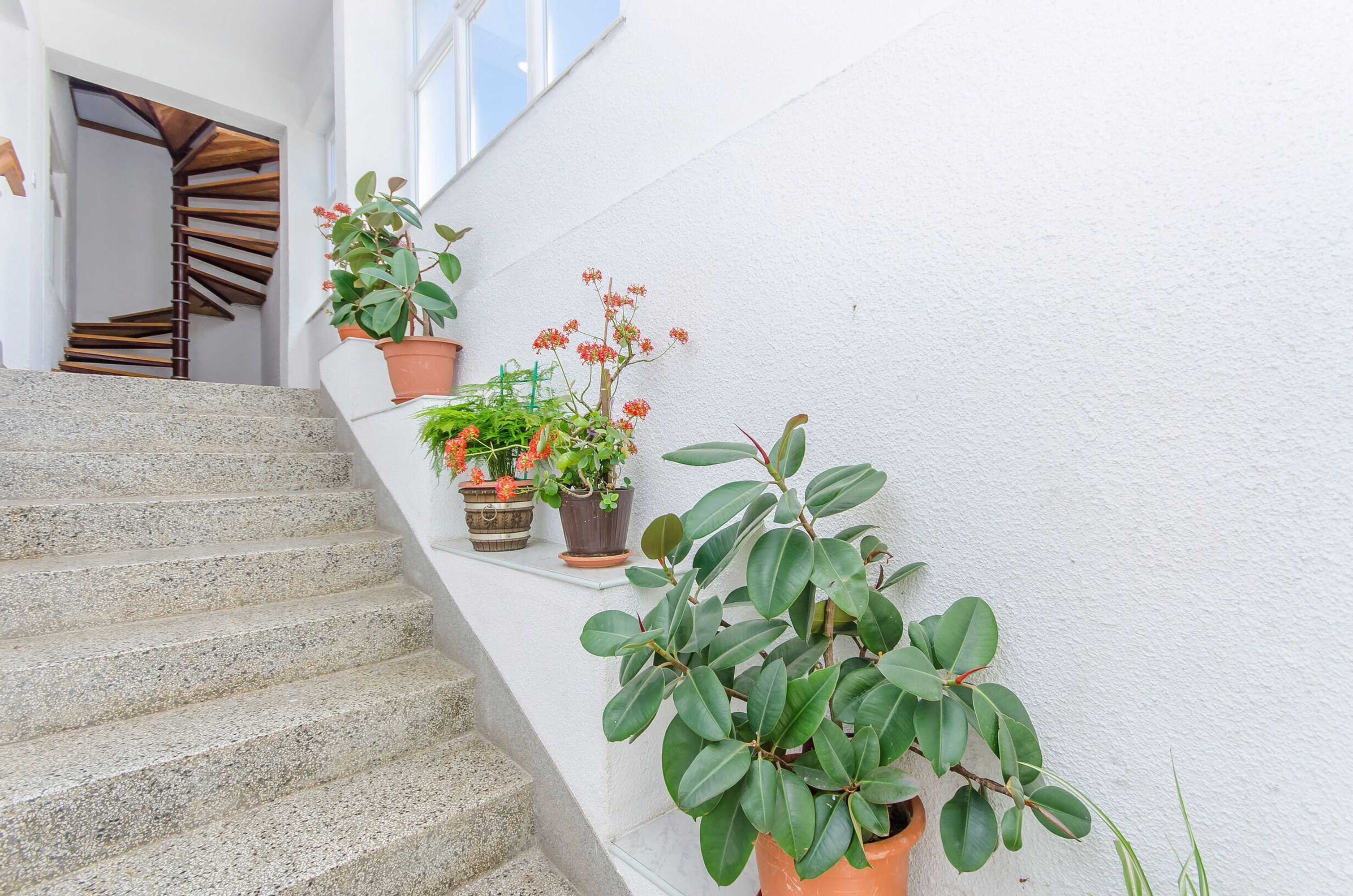 Gift card for Apartments Zora