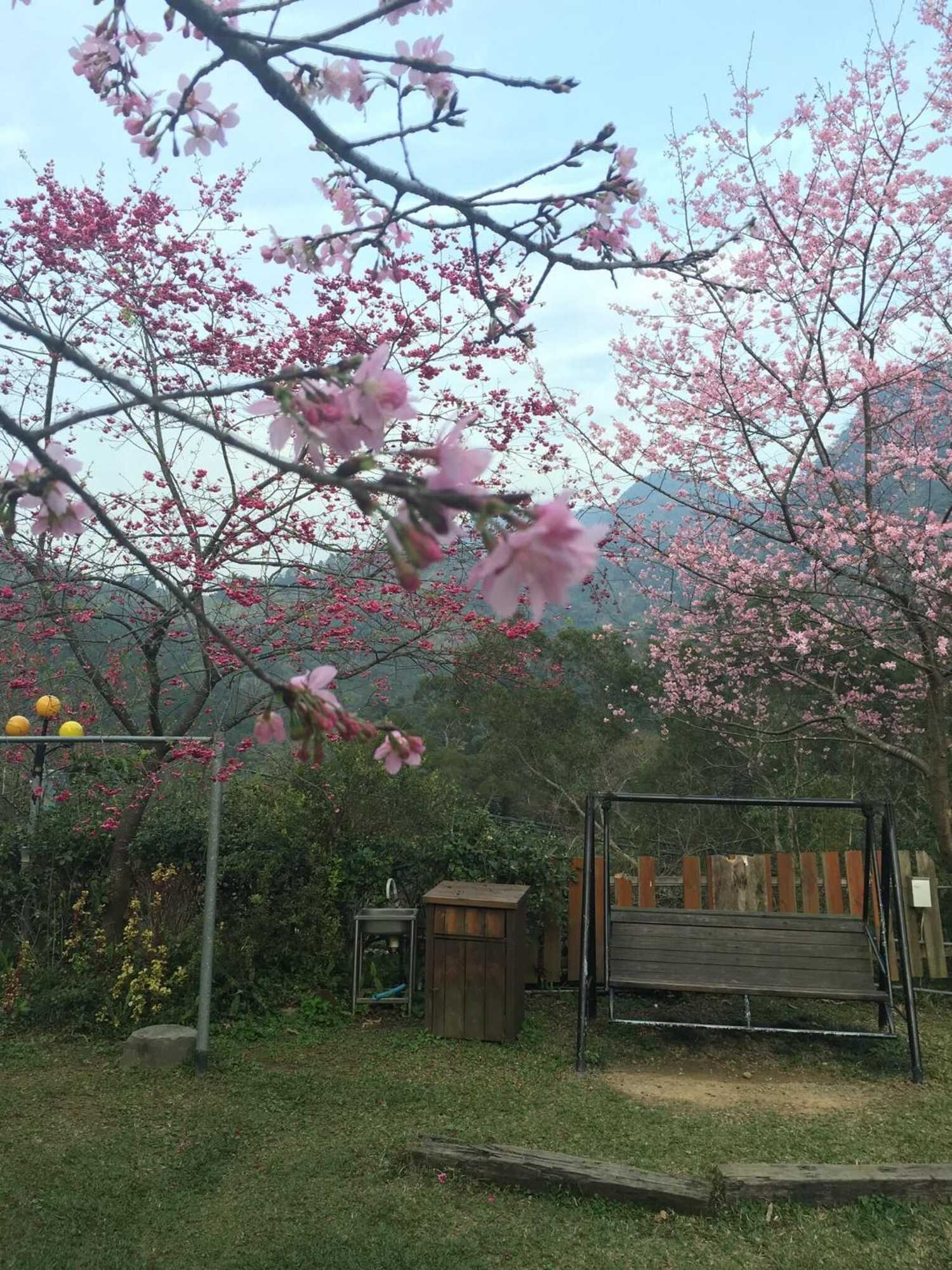 Gift card for Shanlin Songjing Leisure Farm