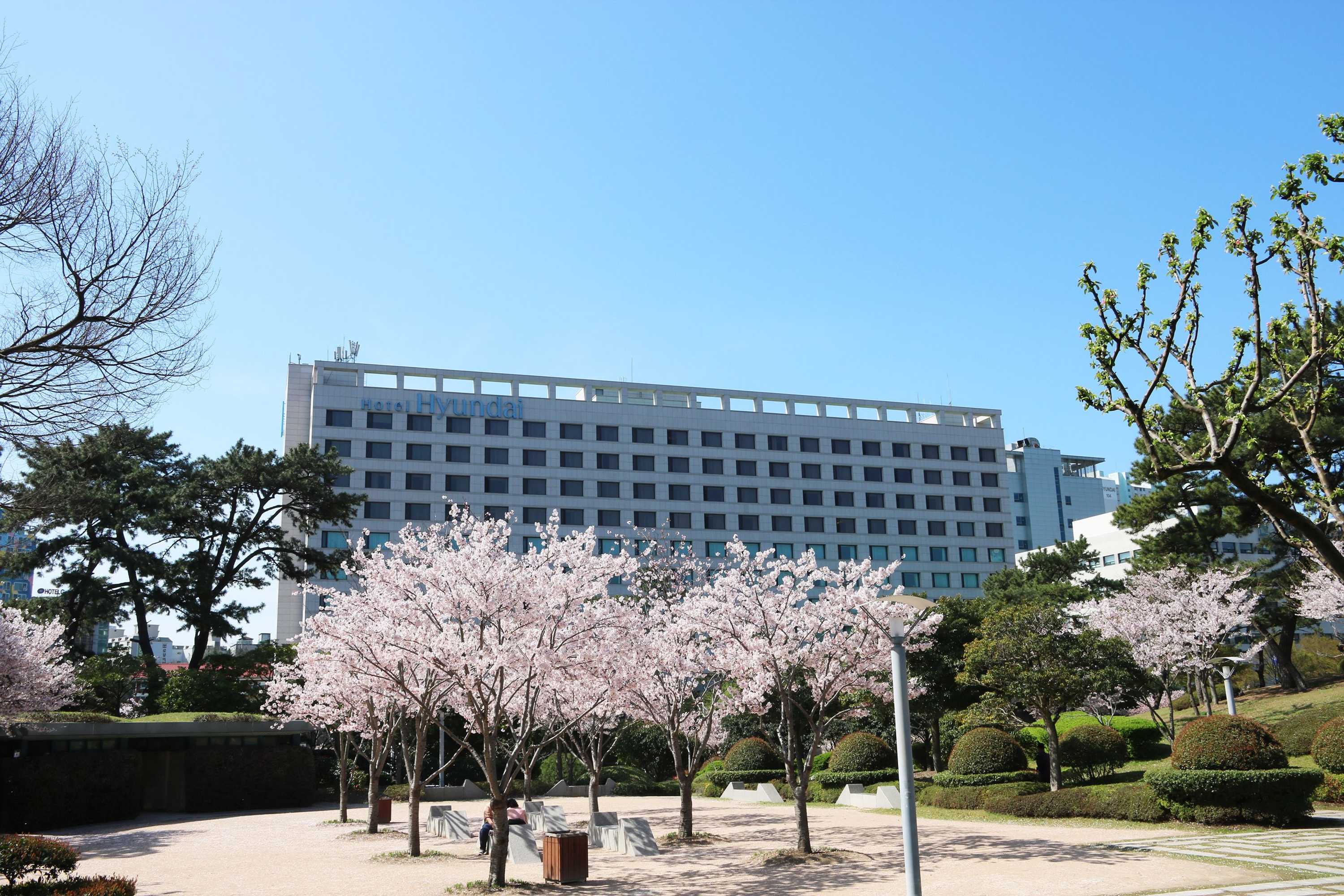 Gift card for Hotel Hyundai by Lahan Ulsan Gift card for Hotel Hyundai by Lahan Ulsan