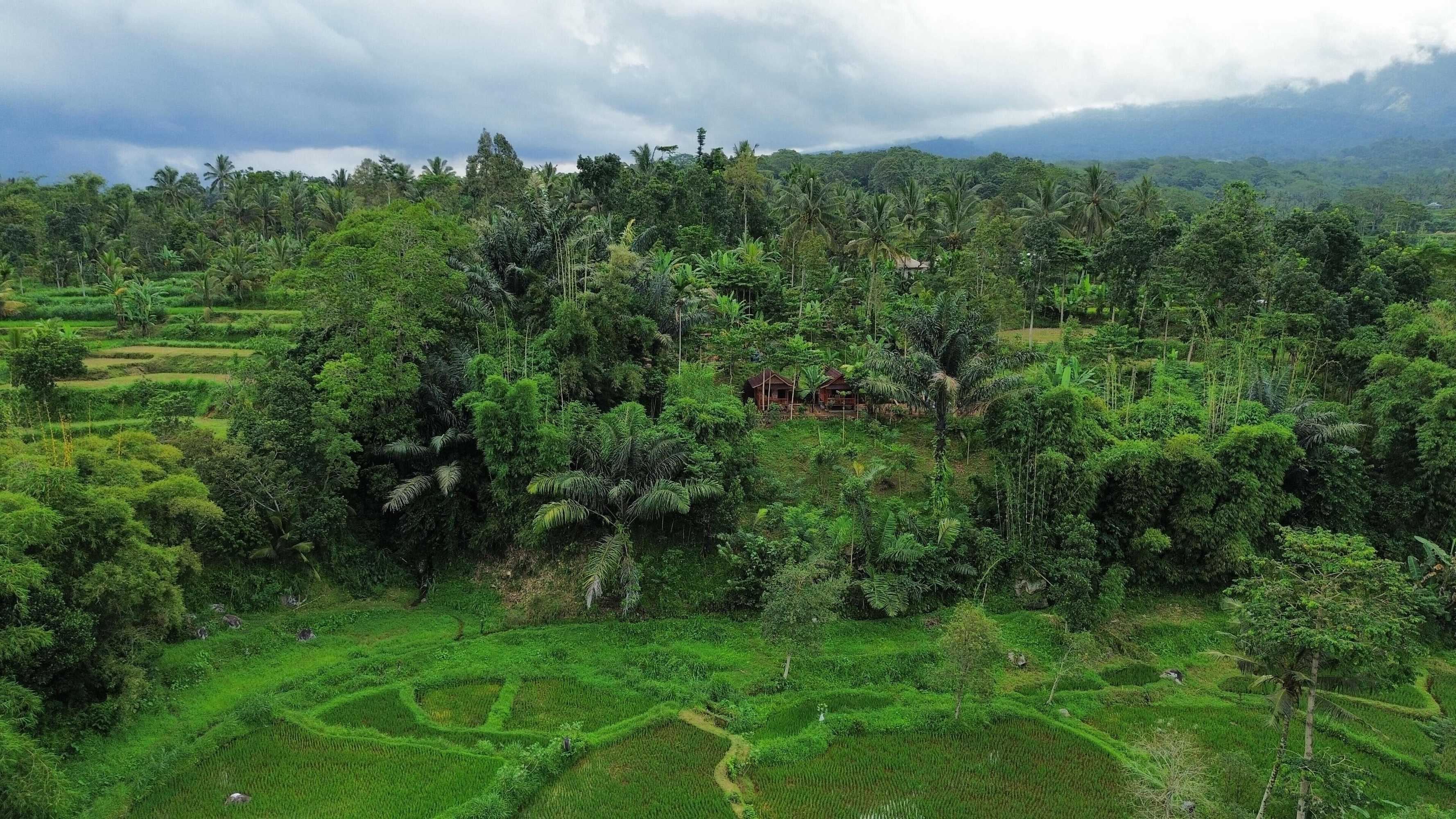 Gift card for Serenity Lodge Tetebatu Lombok