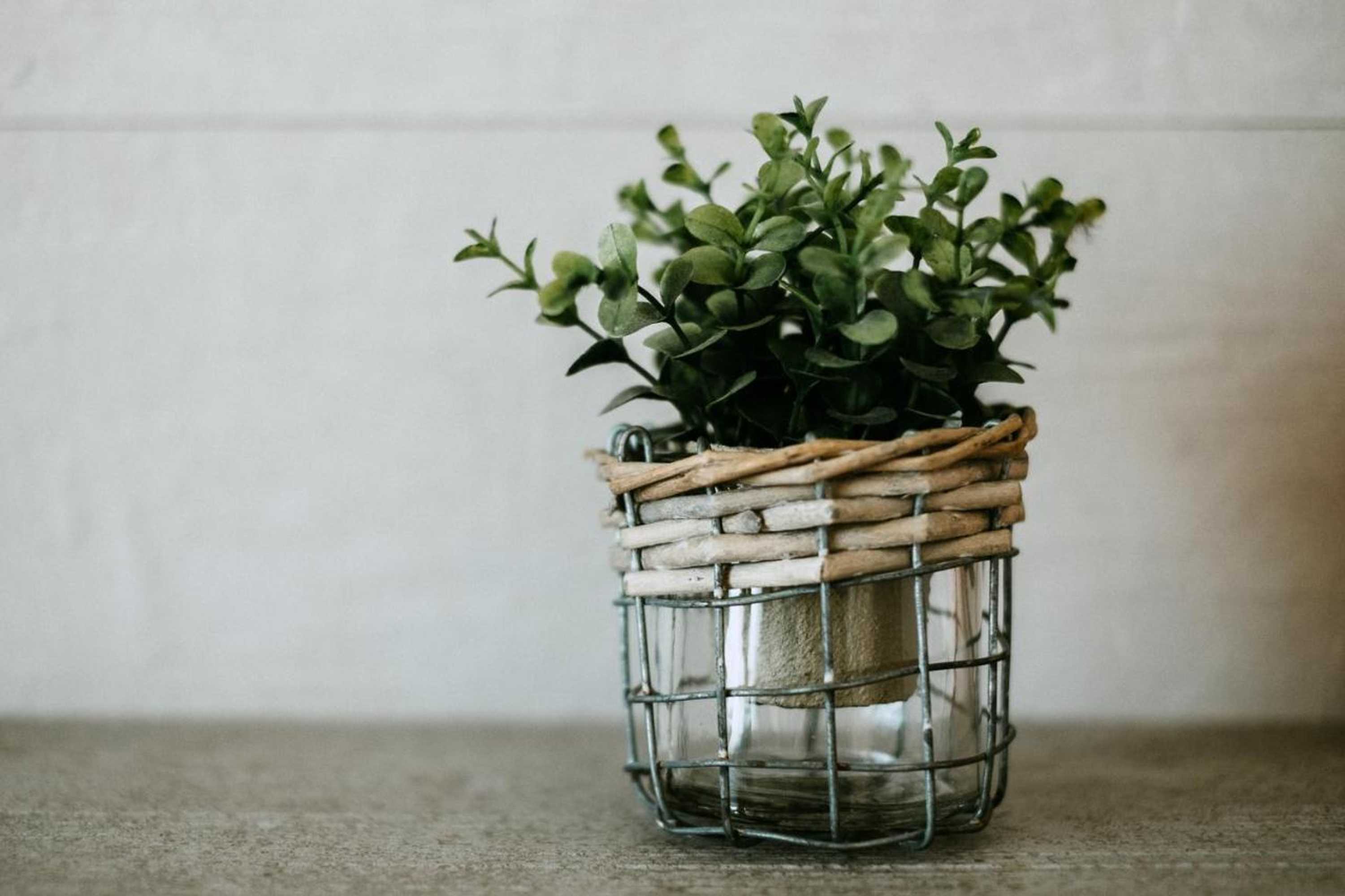 Gift card for Casa Com Piscina no Coração do Douro - Domaine Casa Valença, Gift card for Casa Com Piscina no Coração do Douro - Domaine Casa Valença,