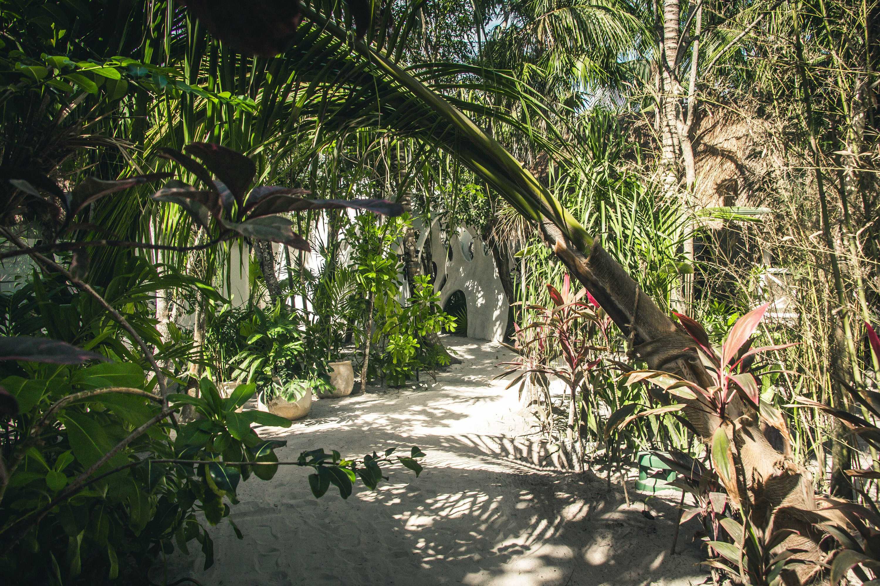 Gift card for Hotel Roc Luxe Tulum - Adults Only Gift card for Hotel Roc Luxe Tulum - Adults Only