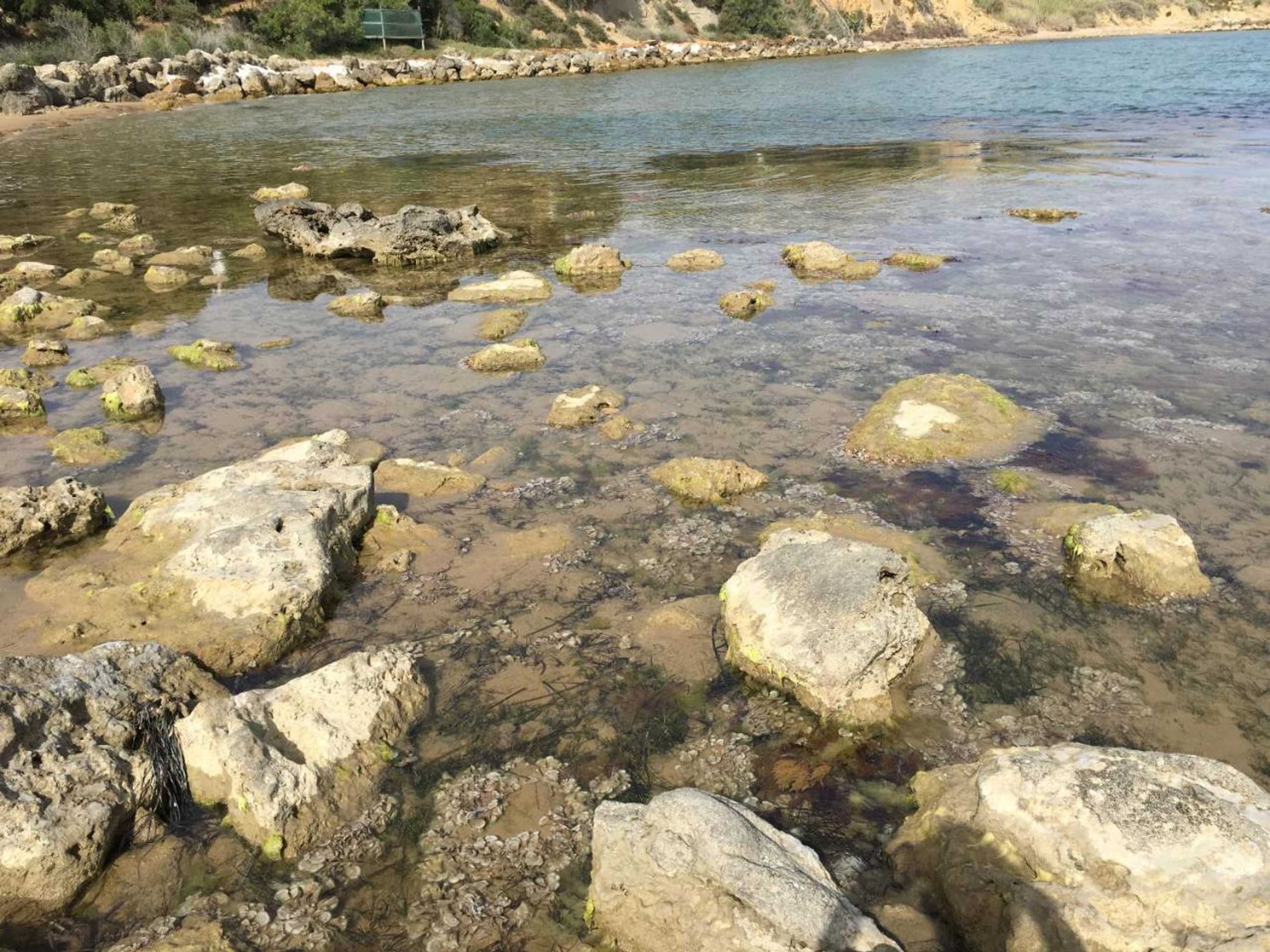 Gift card for La Bianca Scogliera