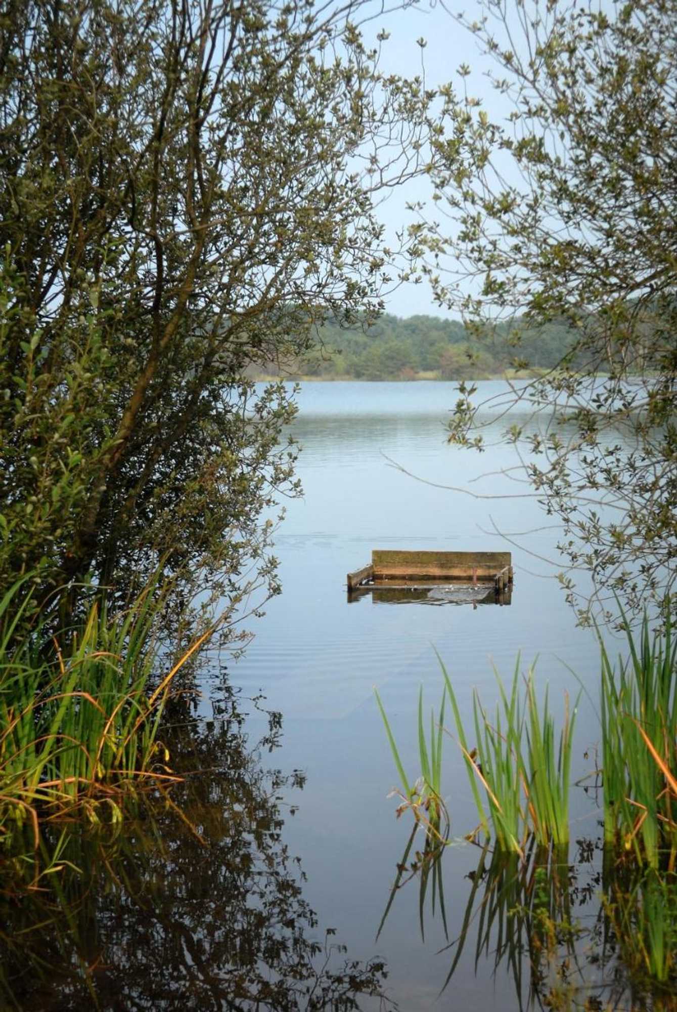 Gift card for Hotel Sunparks Kempensen Meren