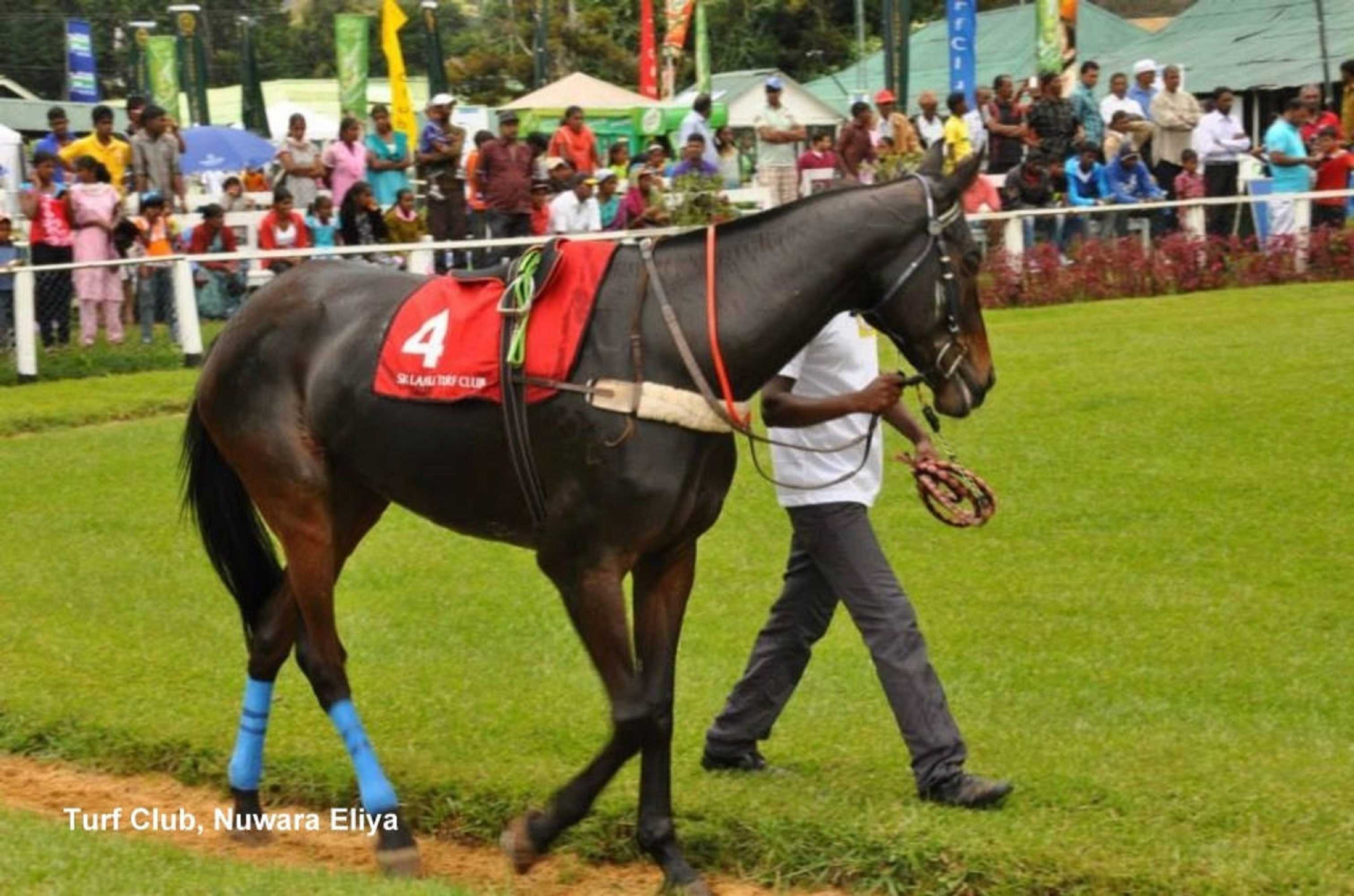 Gift card for Heaven Seven Nuwara Eliya