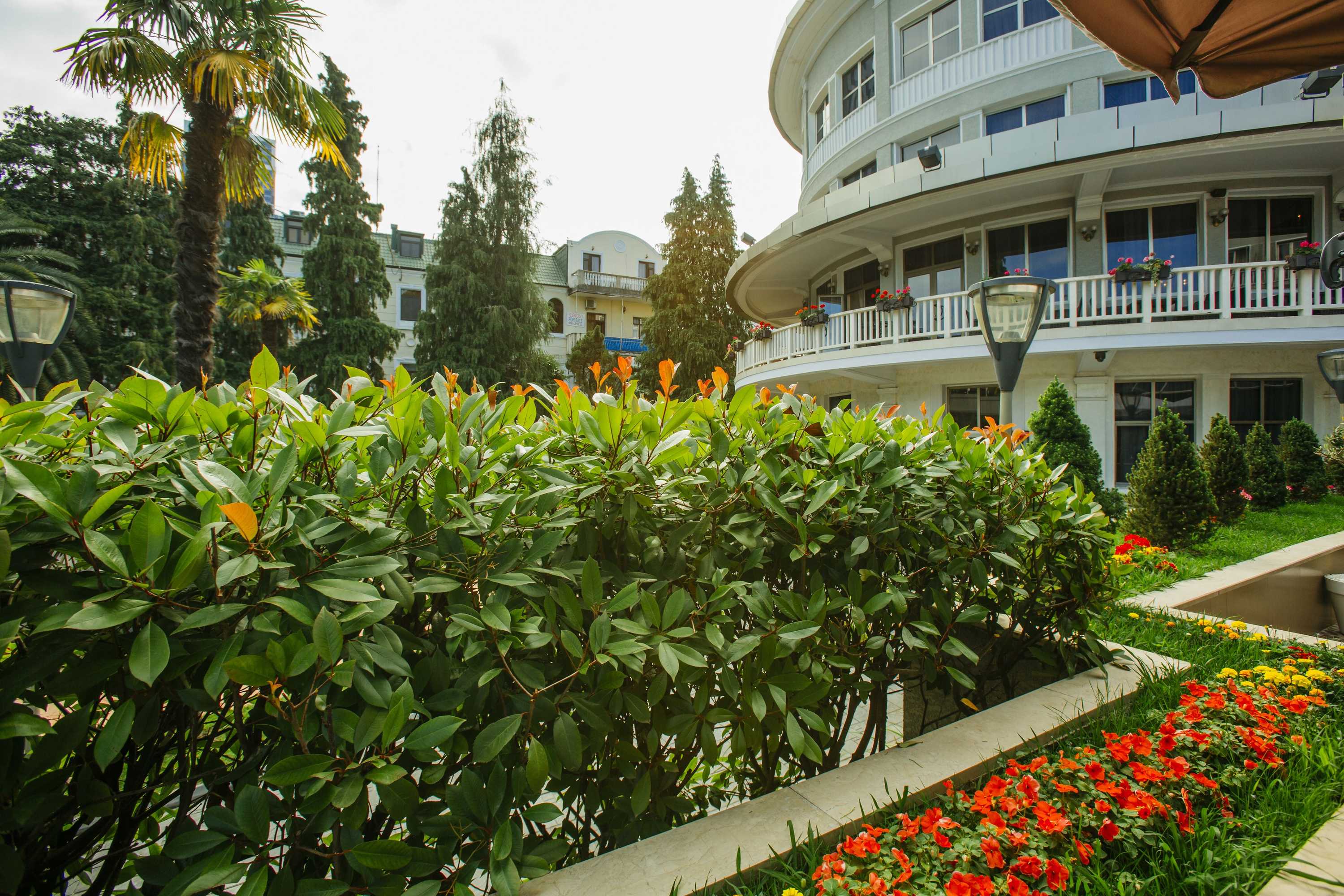 Gift card for Hotel Intourist Palace Batumi Gift card for Hotel Intourist Palace Batumi