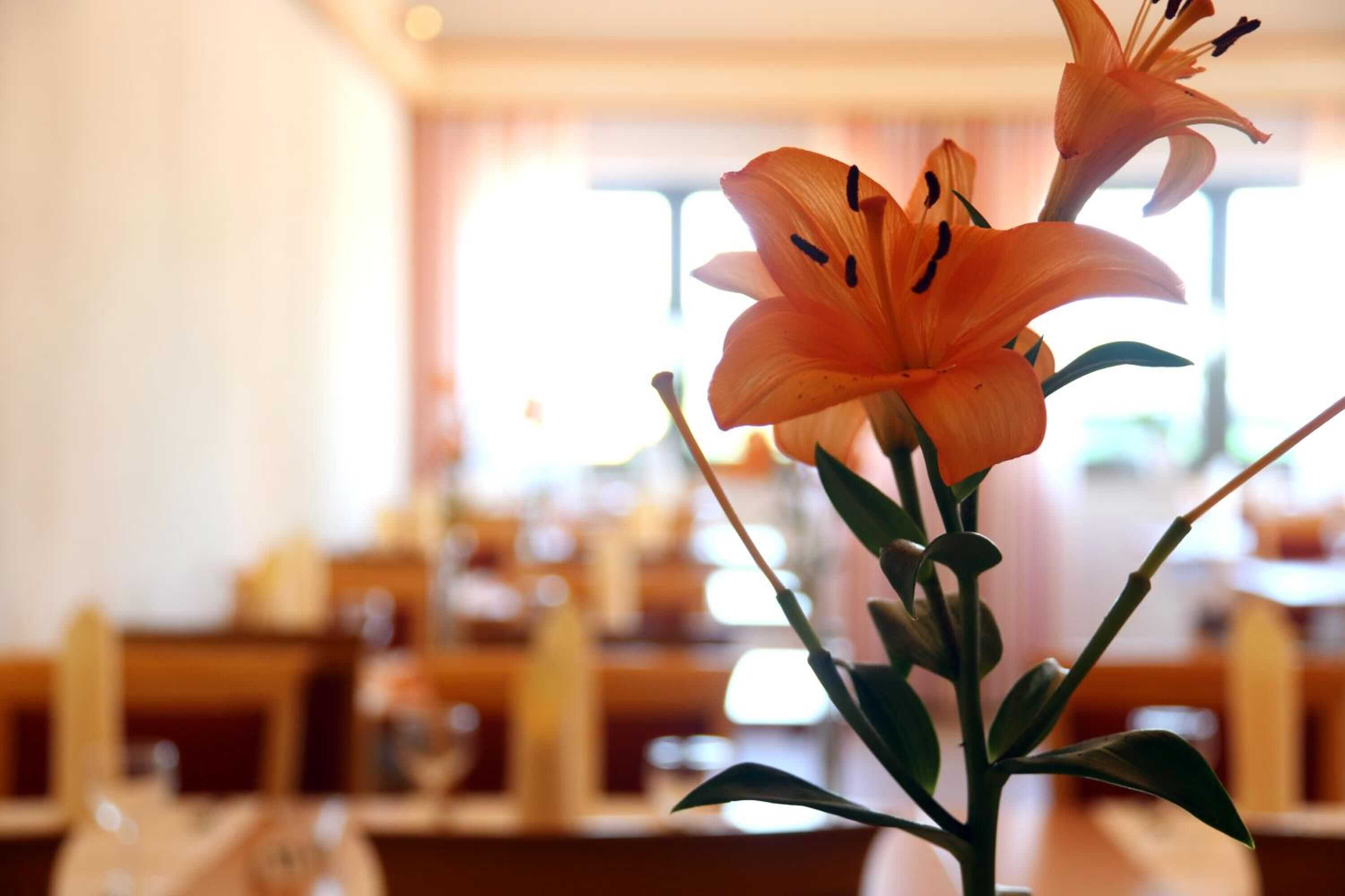 Gift card for Hotel Zehntscheune