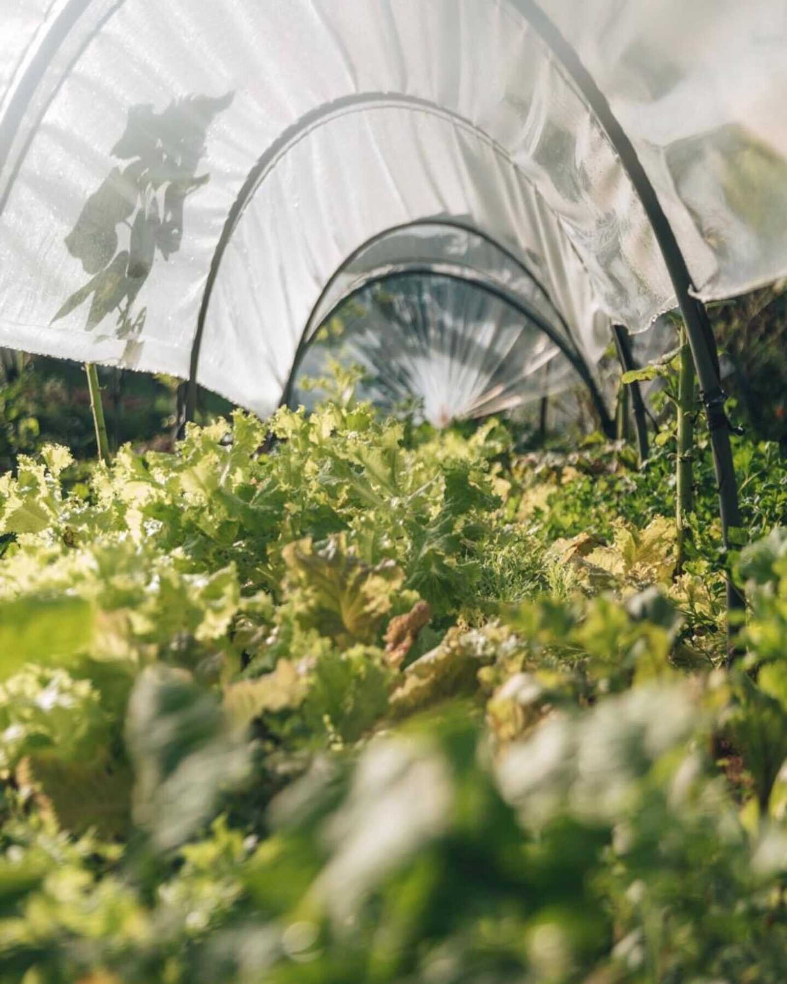 Gift card for Bali Eco Stay