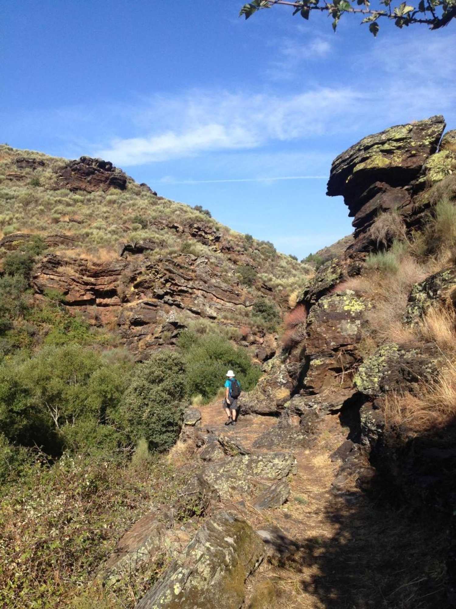 Gift card for Quinta Dos Baldo