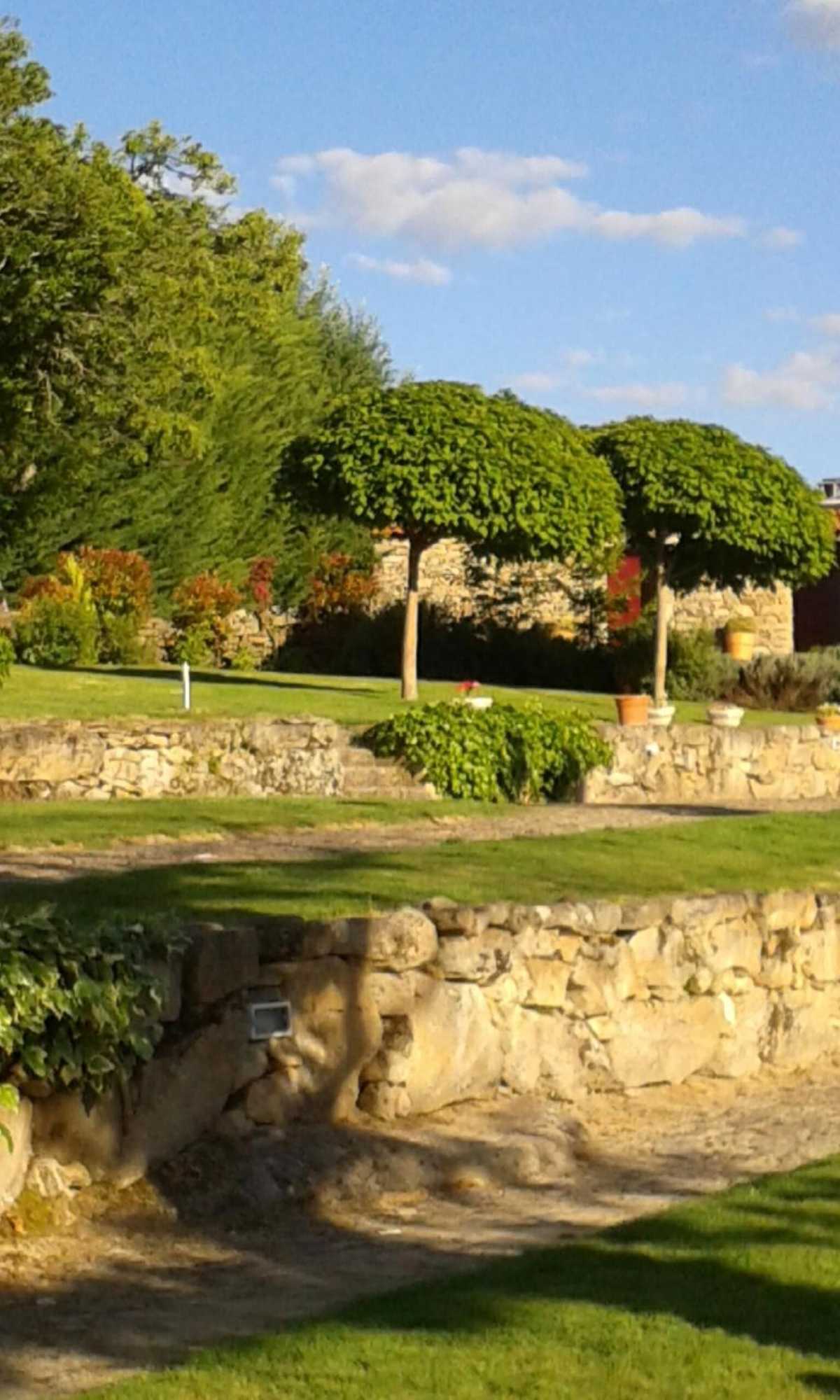 Gift card for Moinhos da Tia Antoninha