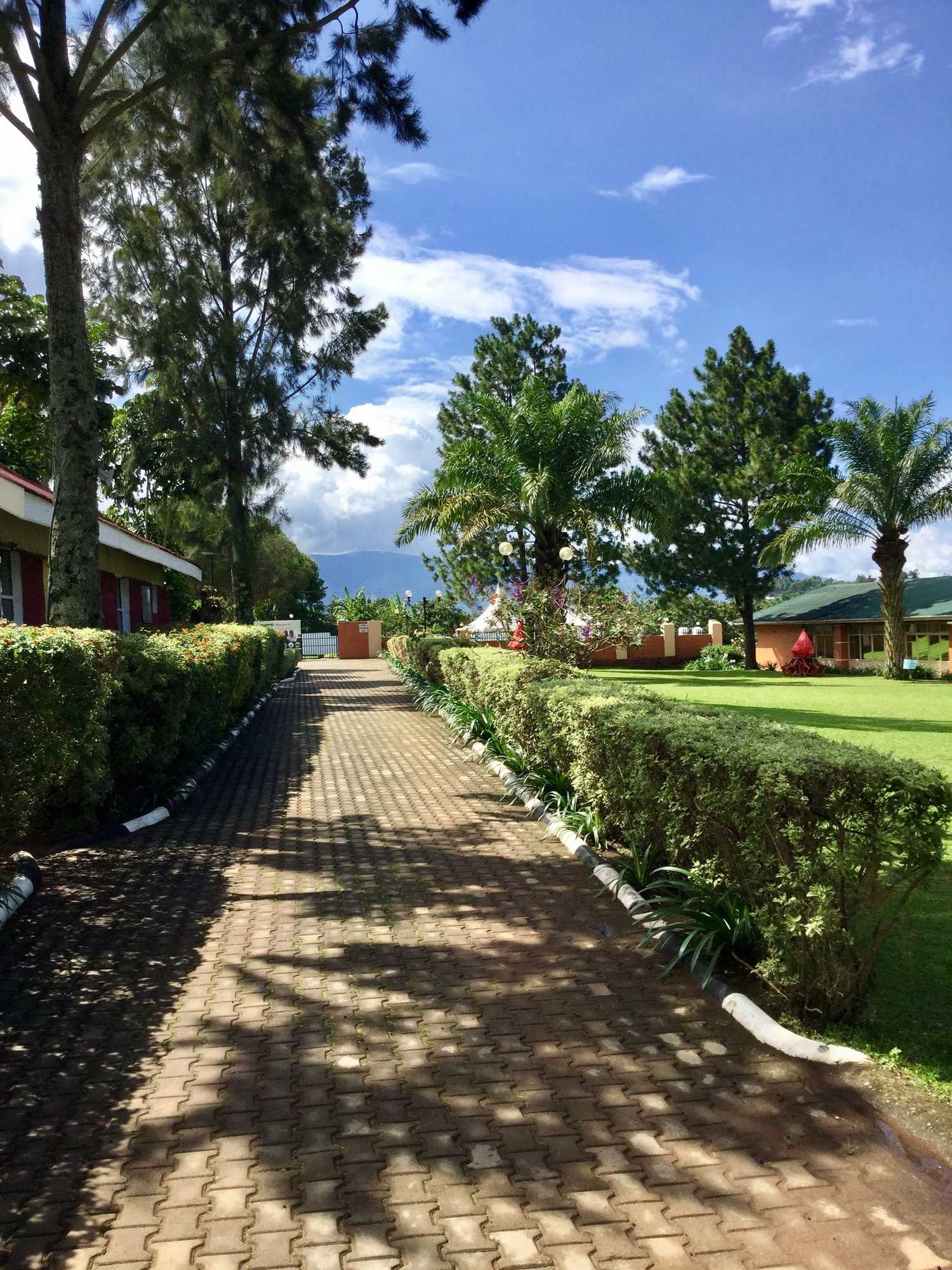 Gift card for Ataco Country Resort Gift card for Ataco Country Resort