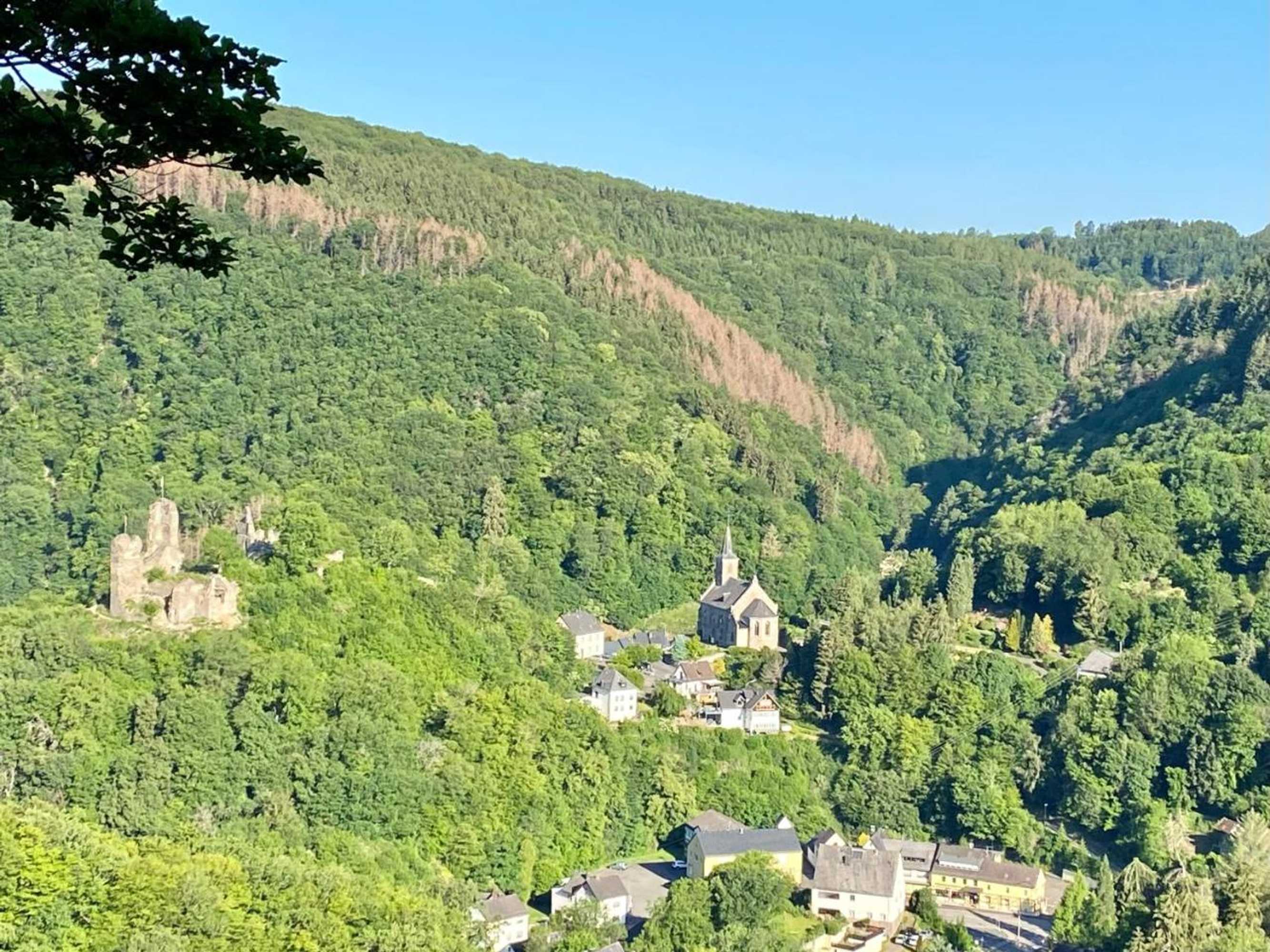 Gift card for Haus Maria Isenburg - Naturpark Rhein-Westerwald