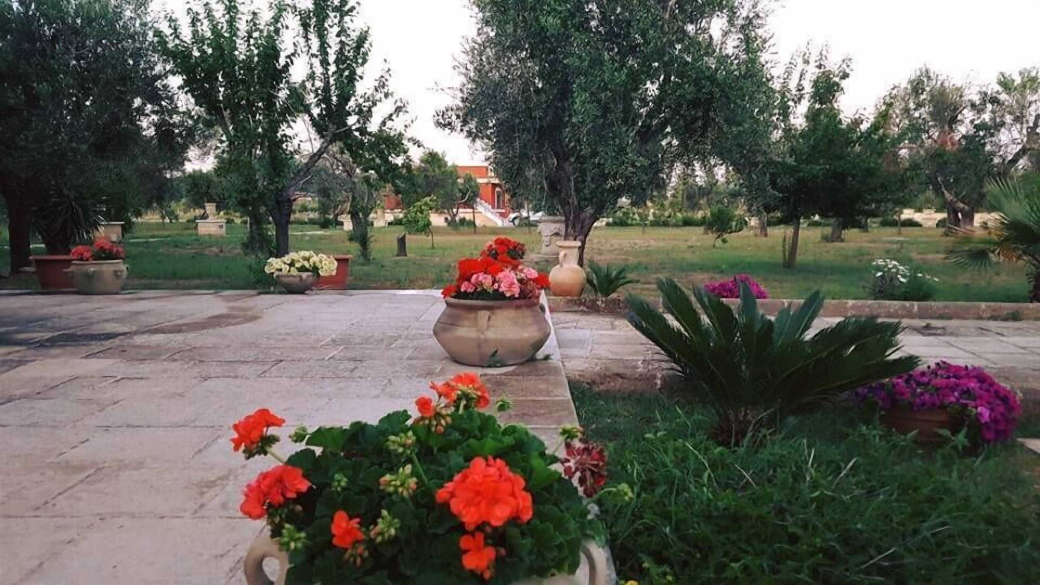Gift card for B&b Elda Salento Gift card for B&b Elda Salento