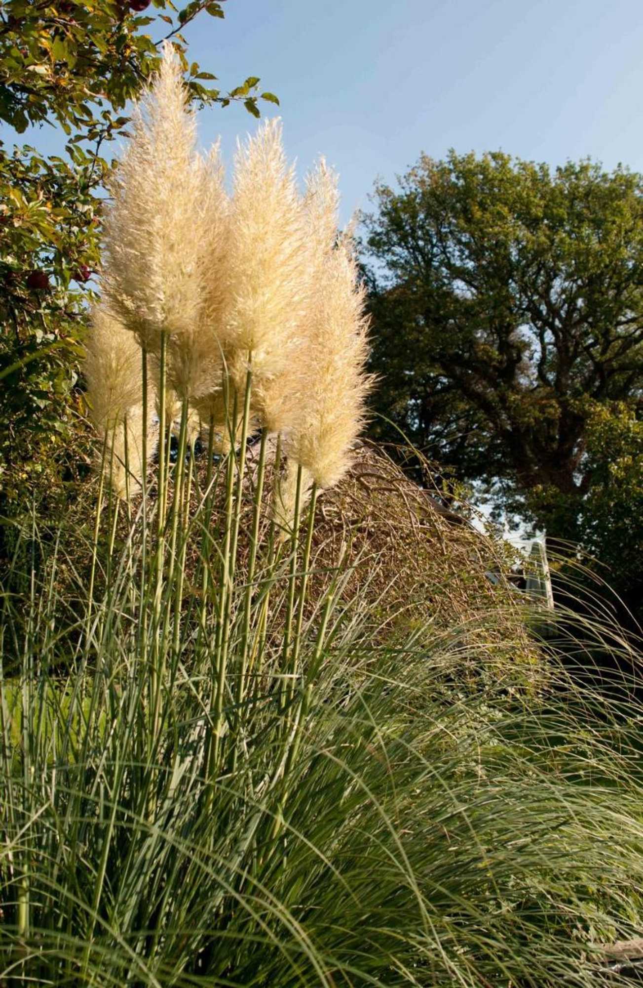 Gift card for Bed And Breakfast De Violier