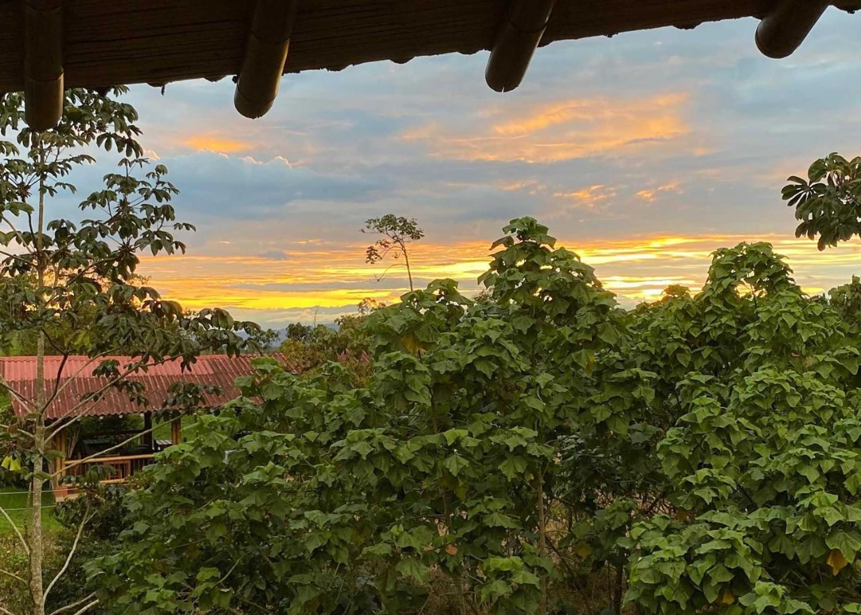 Gift card for Los Otobos Finca Hotel