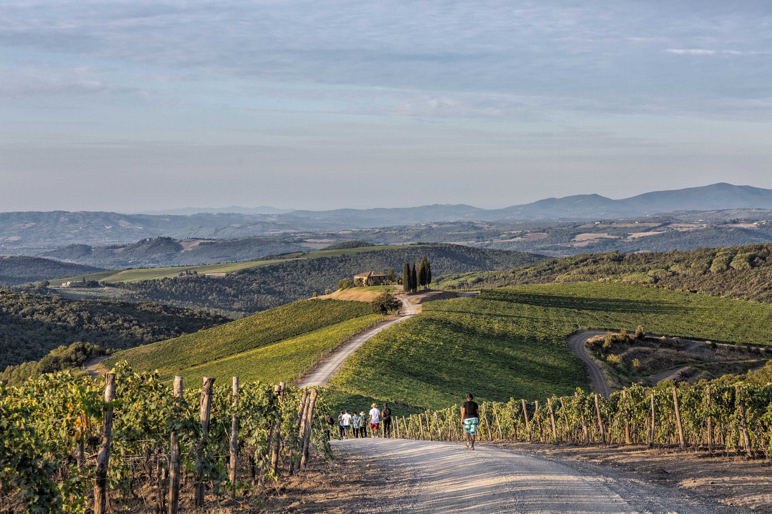 Gift card for Rosewood Castiglion Del Bosco Gift card for Rosewood Castiglion Del Bosco
