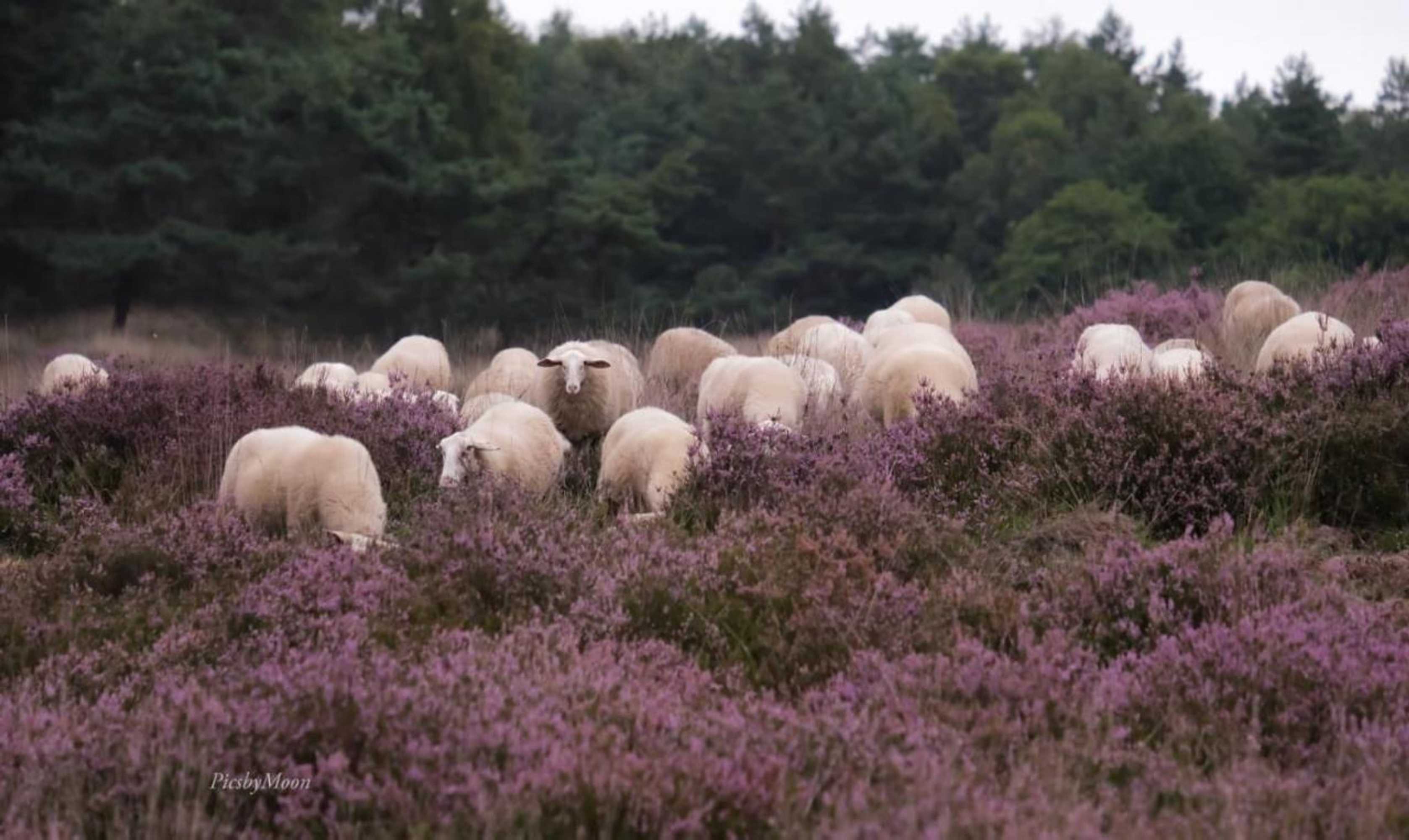 Gift card for B&b Oud-Zilven