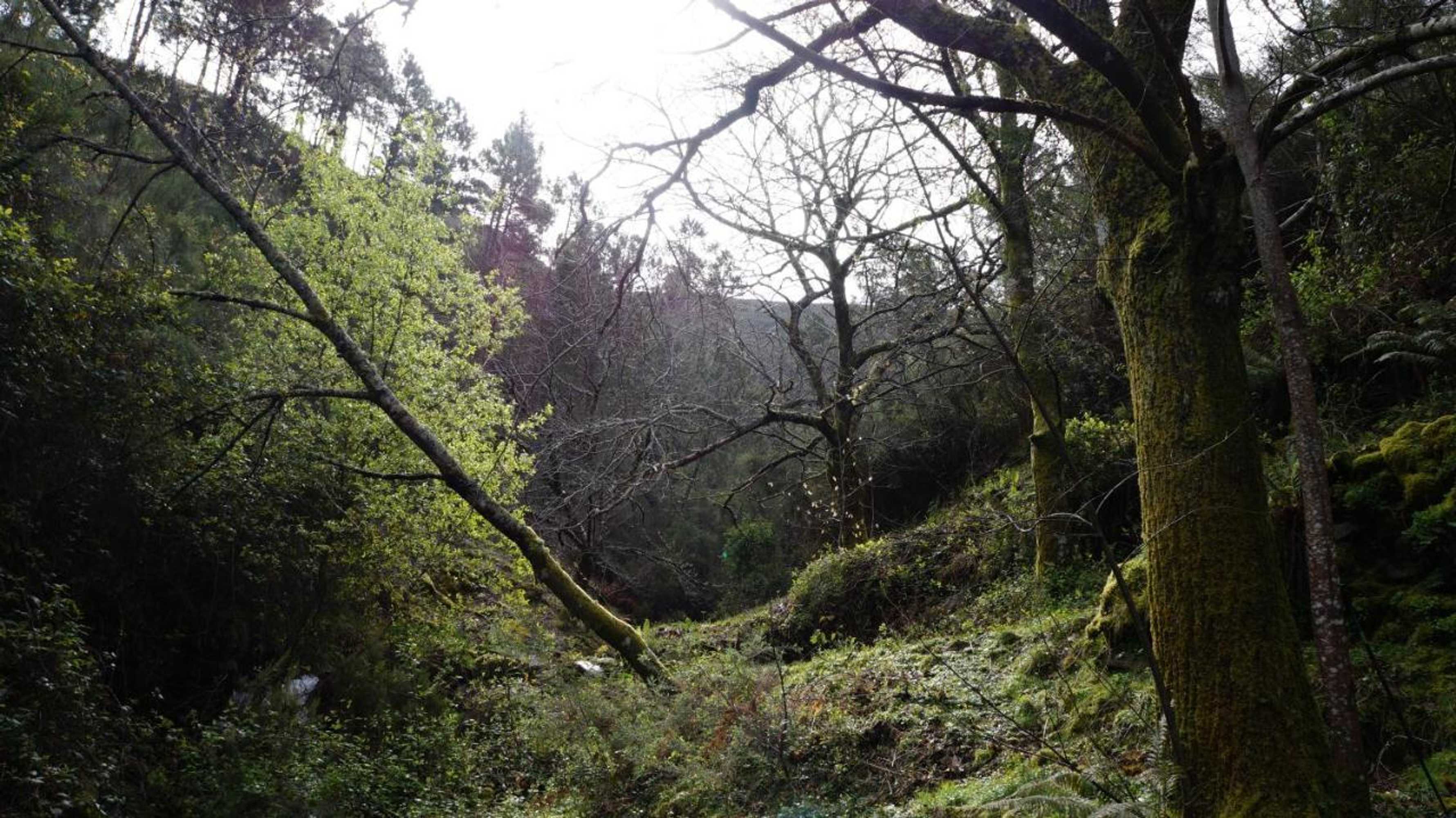 Gift card for Casa da Quelha