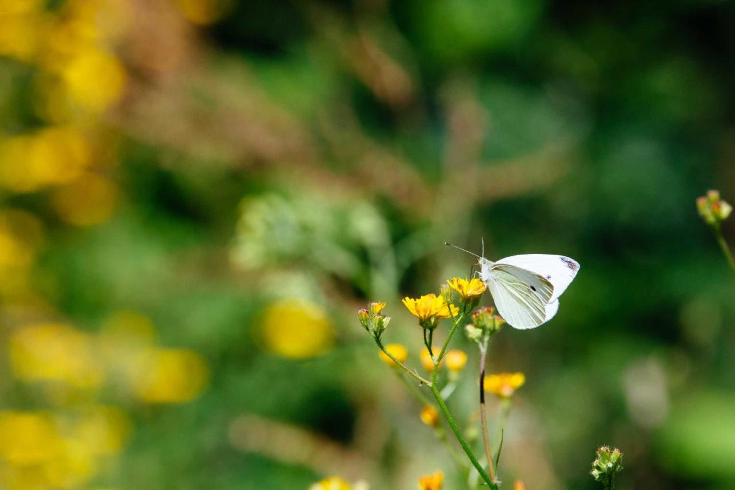 Gift card for Quinta do Rio Gerês