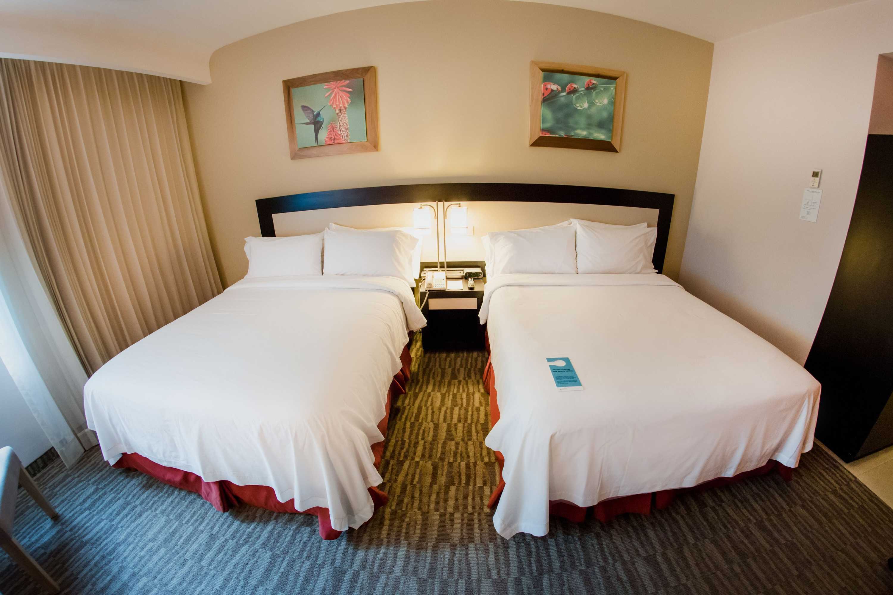Gift card for Excellence Express San Juan Del Río Gift card for Excellence Express San Juan Del Río