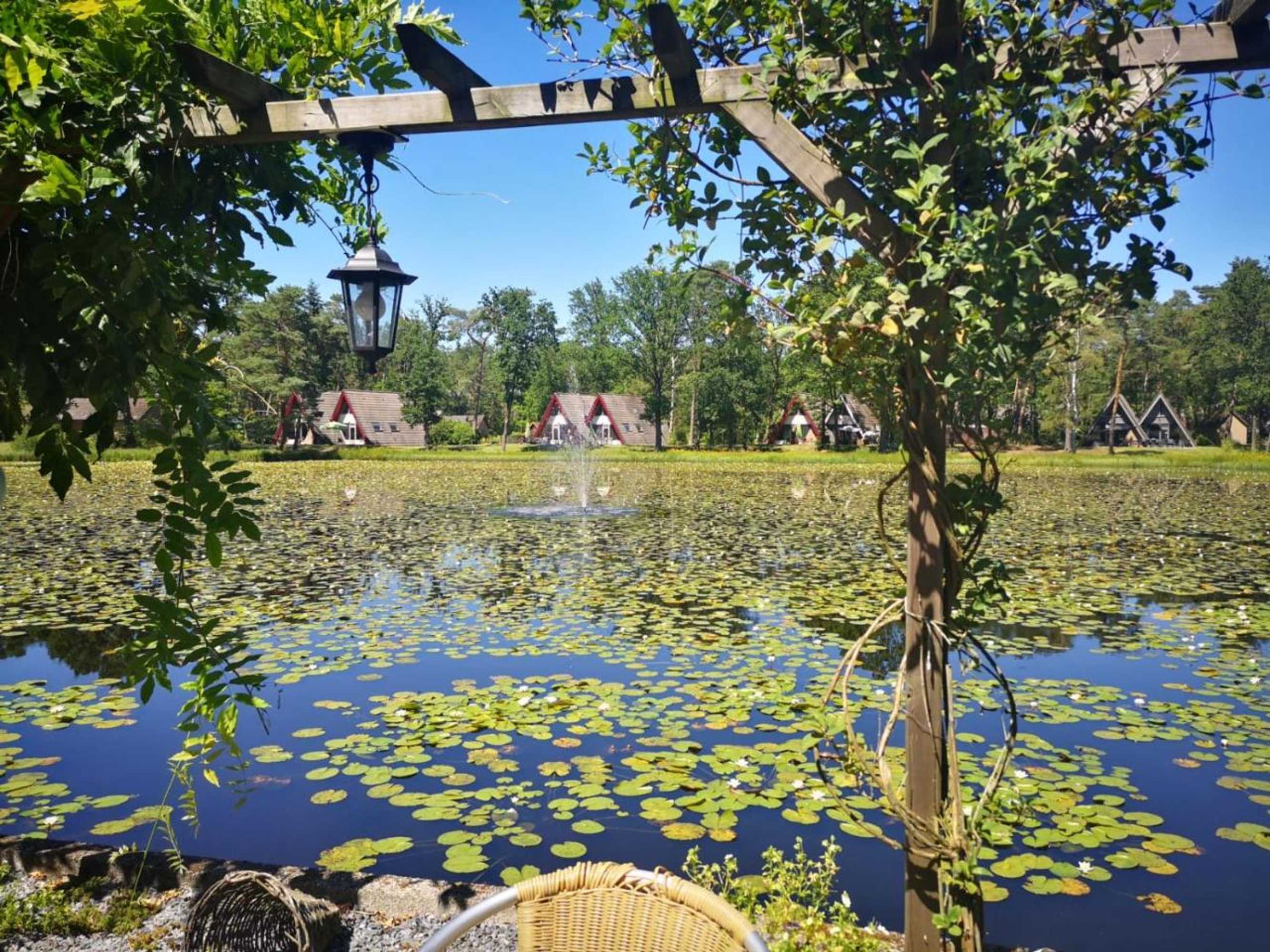 Gift card for Vosseven 32 Geelgors