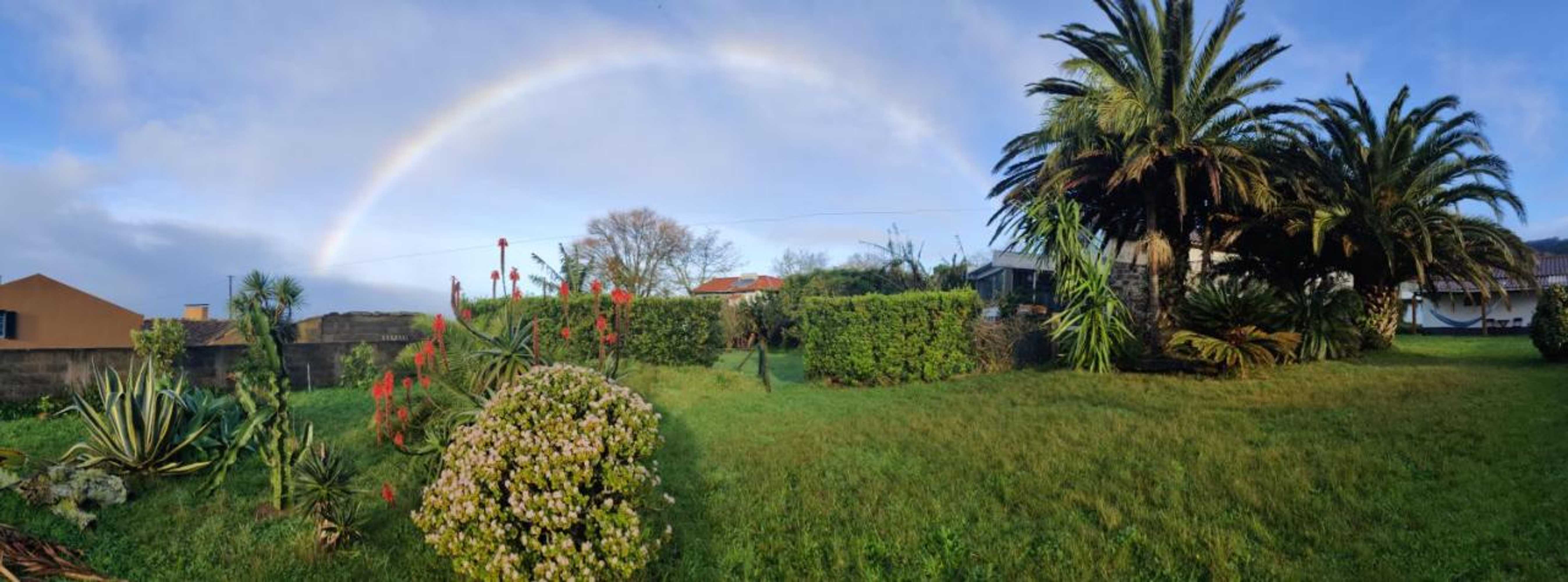 Gift card for Novovento