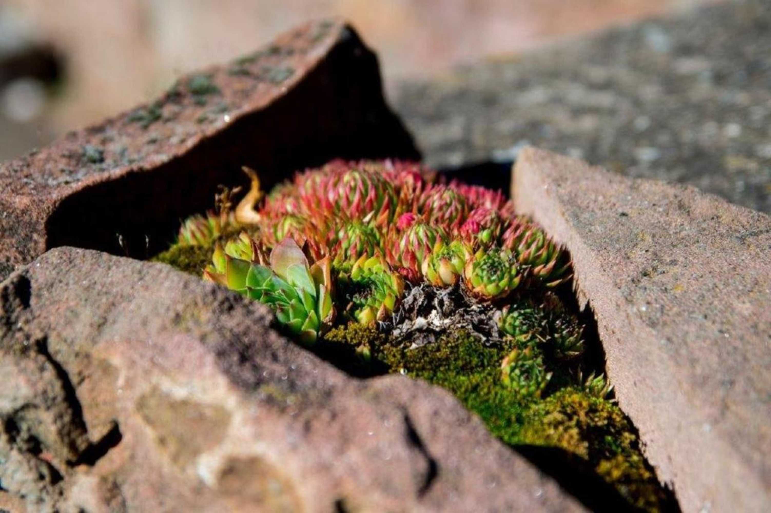 Gift card for Adria-Villa Croatia  Klingenberg