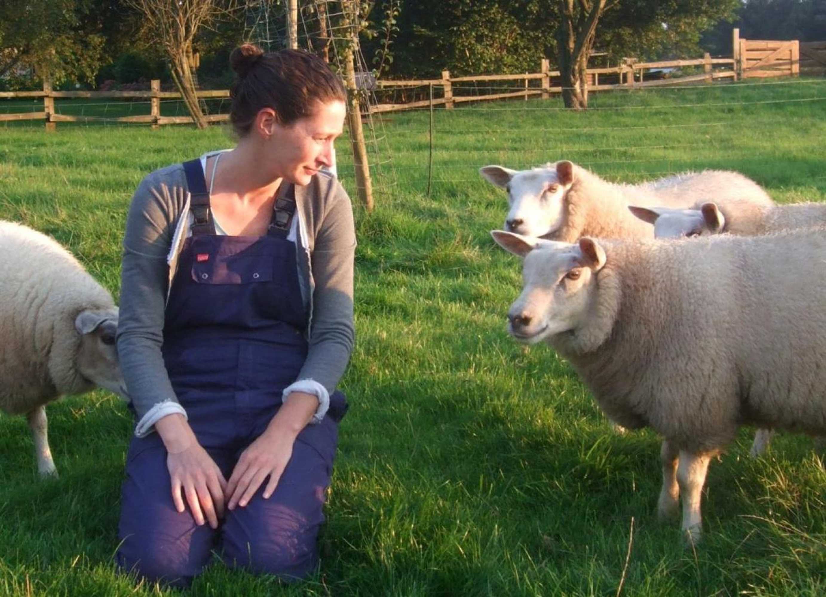 Gift card for Het Geheim Van Merselo