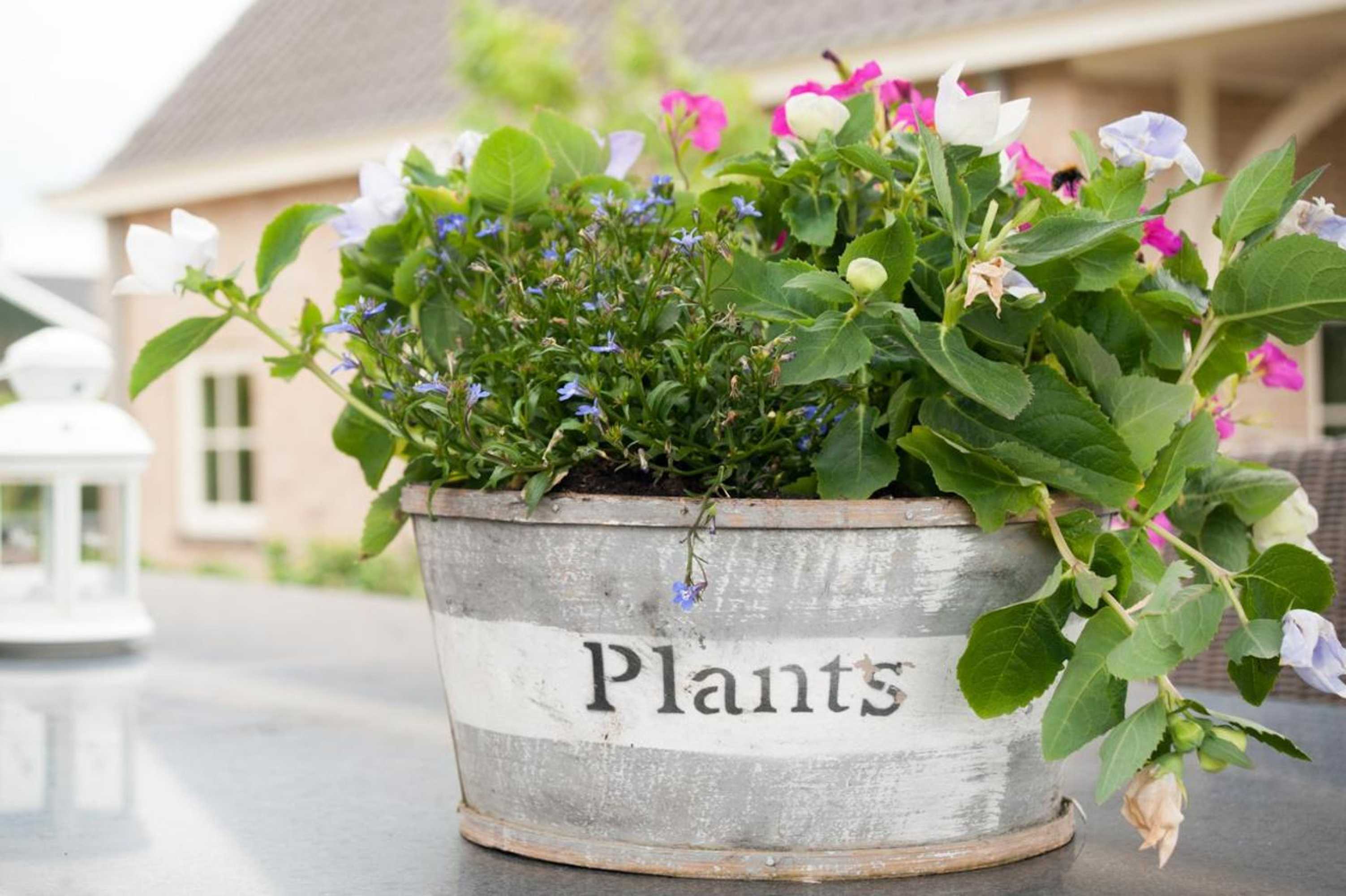 Gift card for Het Jaarsveldhof