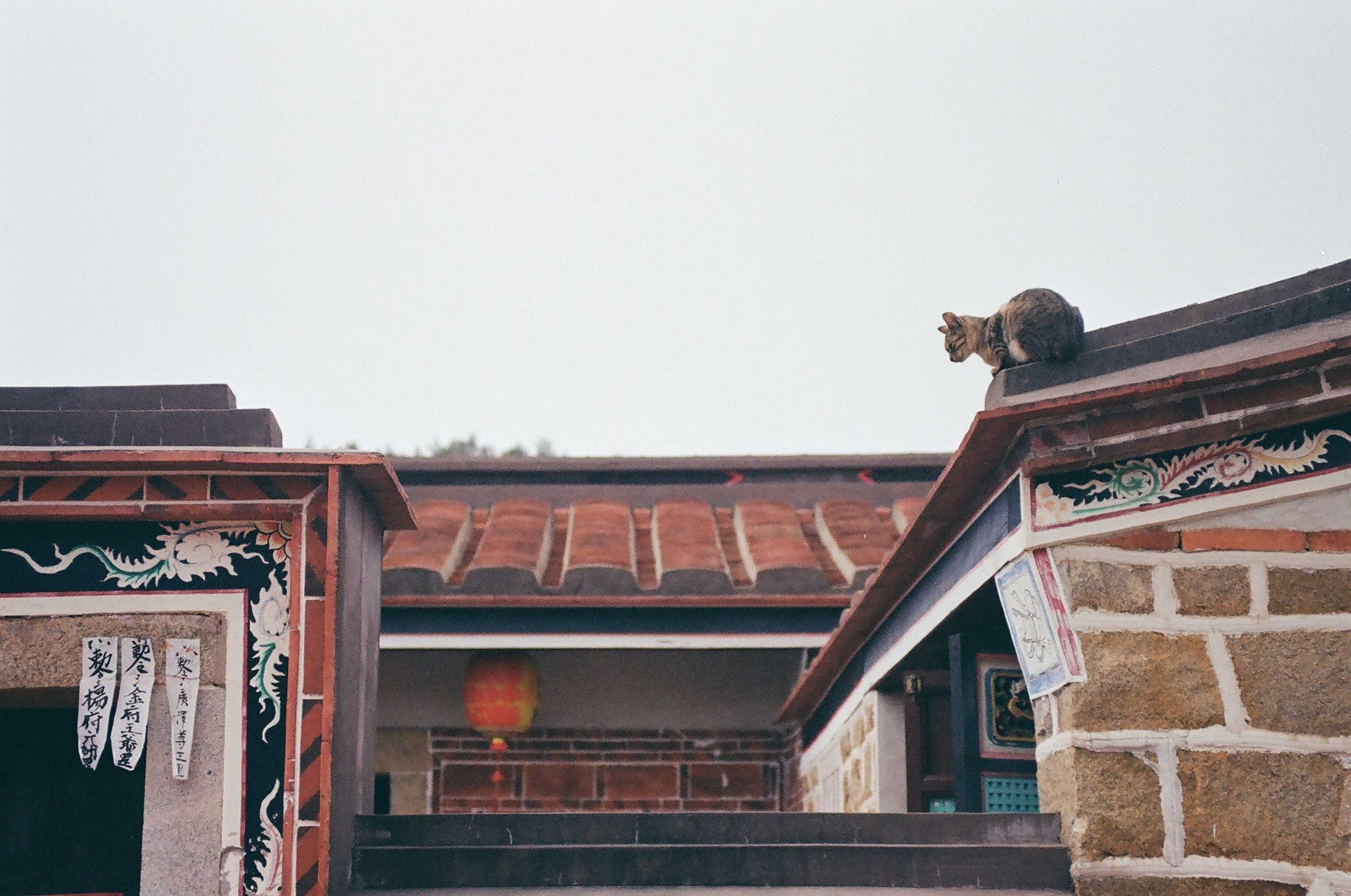 Gift card for Dwell in Quemoy Homestay