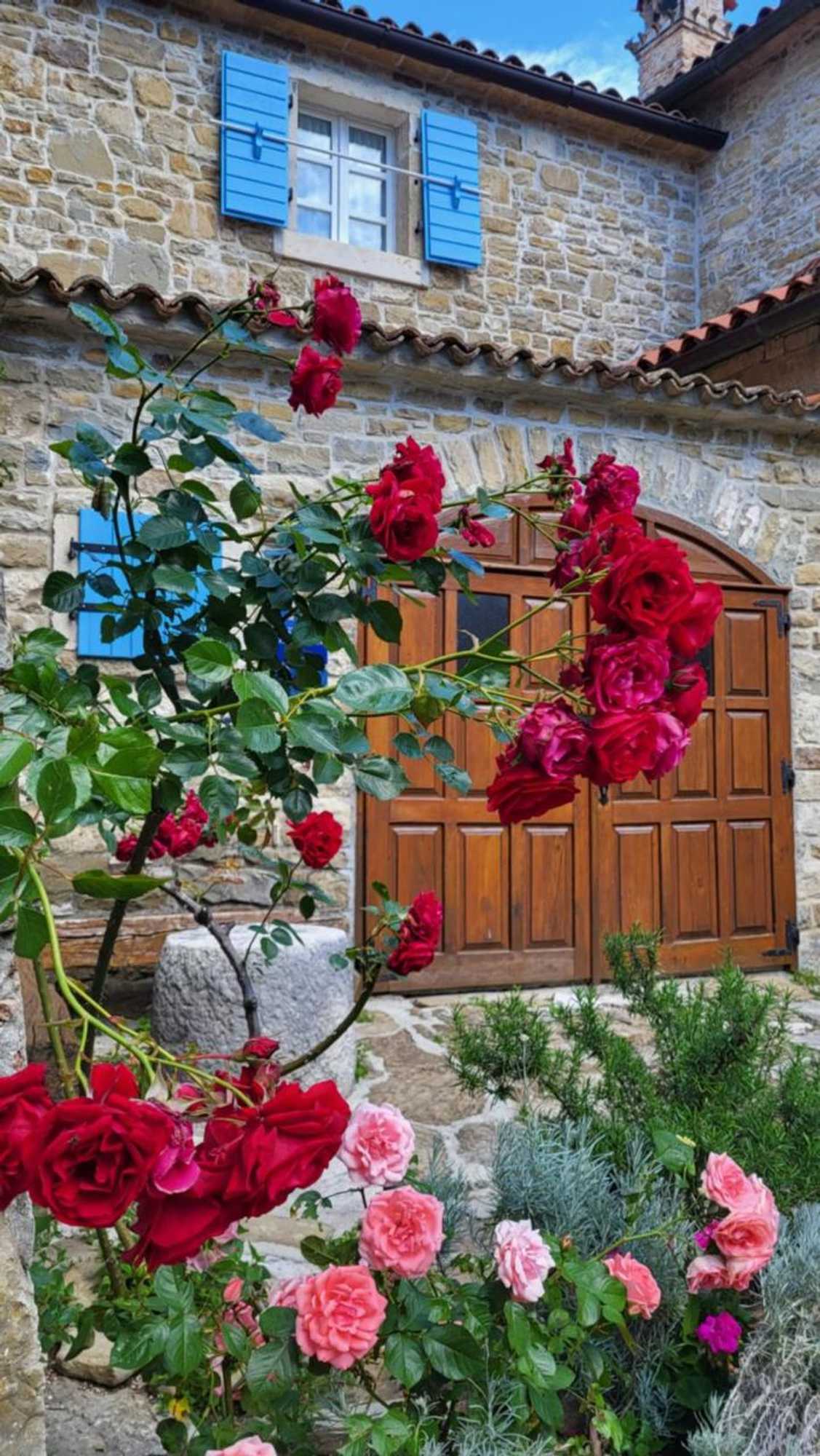 Gift card for Villa San Vito - Tilia, Olea, Rosmarinus