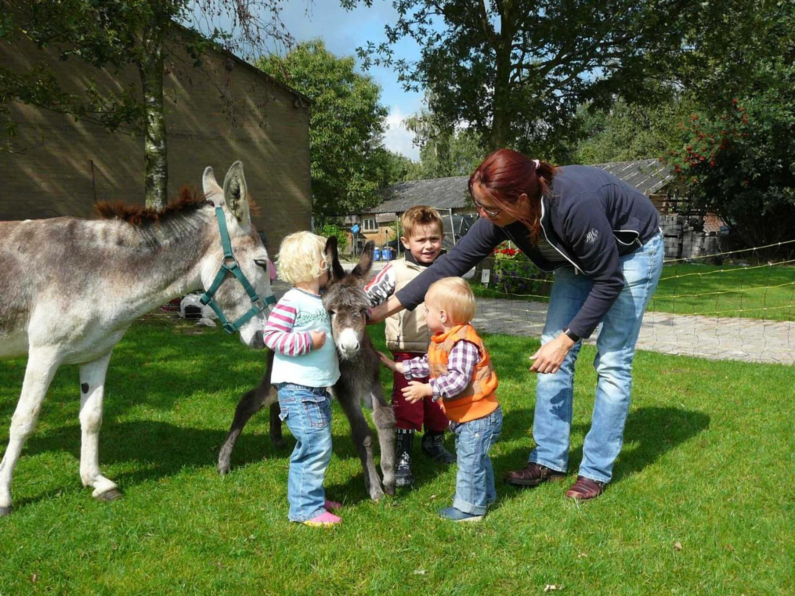 Gift card for Recreational Farm Camping de Kreitsberg