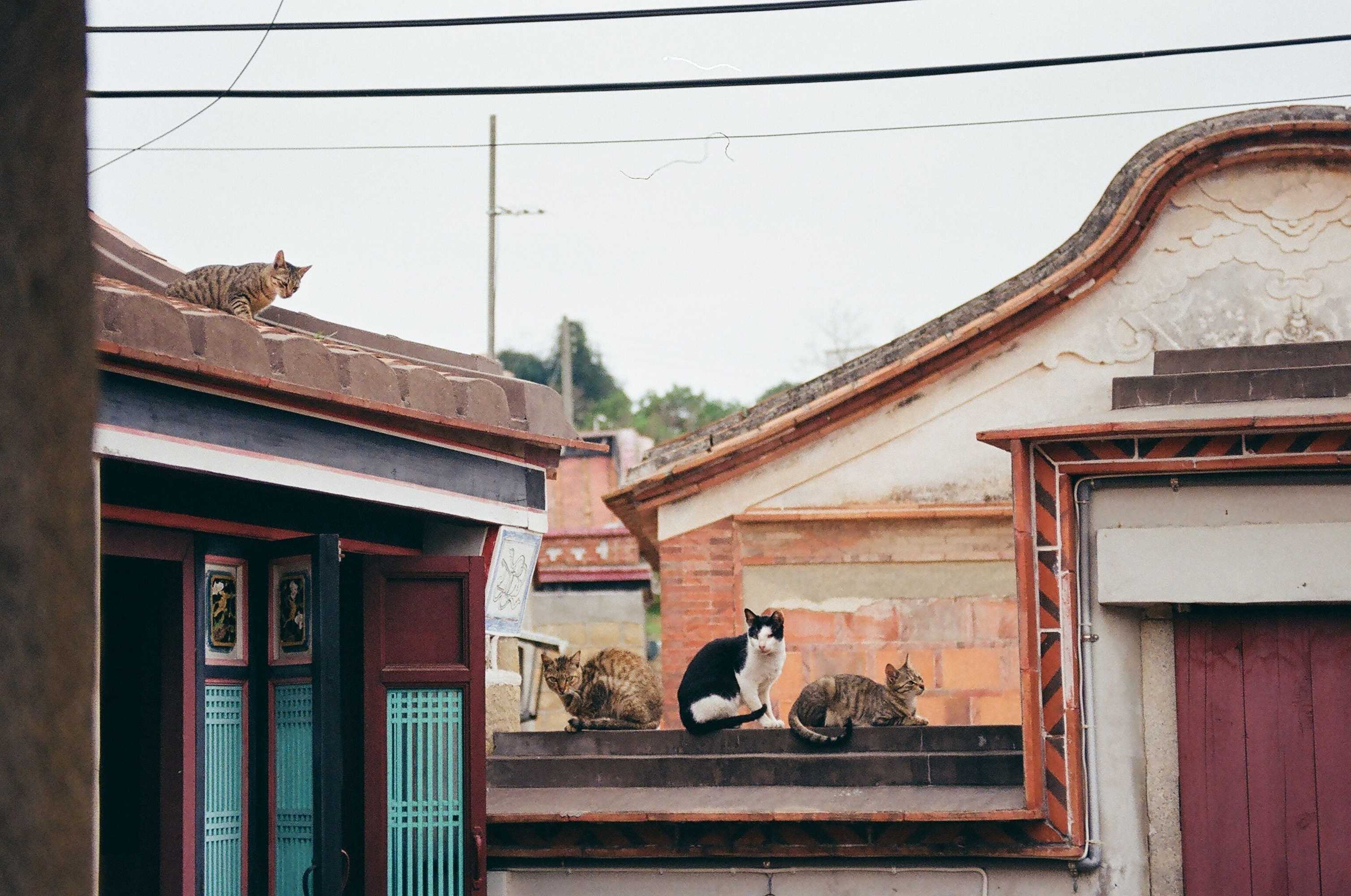 Gift card for Dwell in Quemoy Homestay