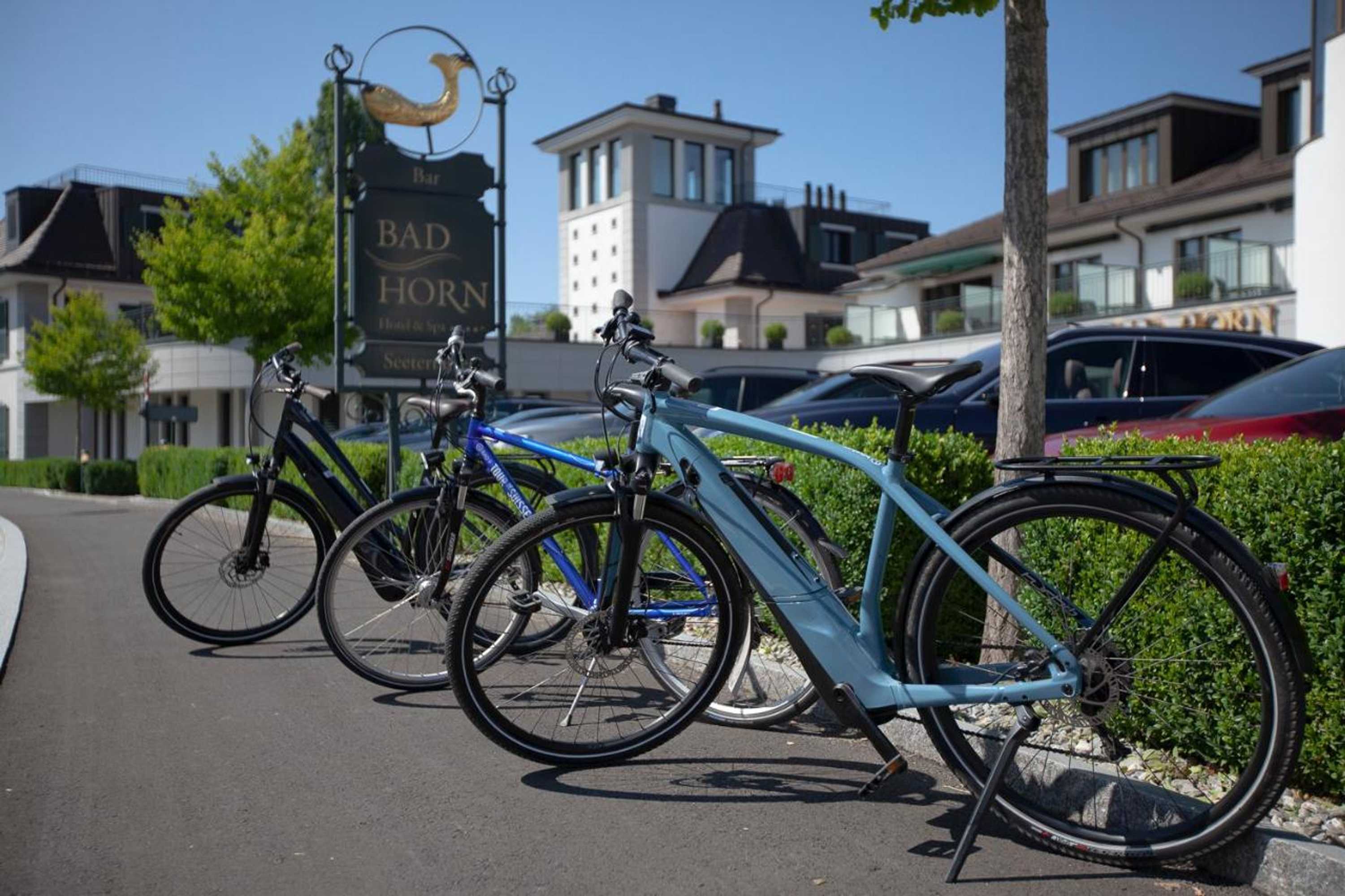 Gift card for Bad Horn - Hotel & Spa