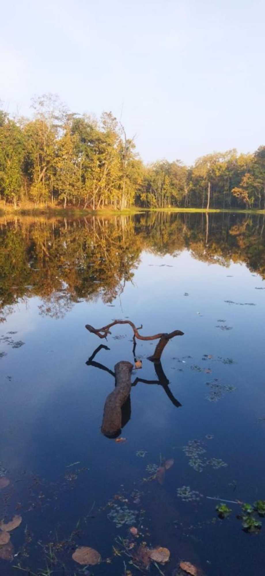 Gift card for Sauraha Holiday Home Riverside