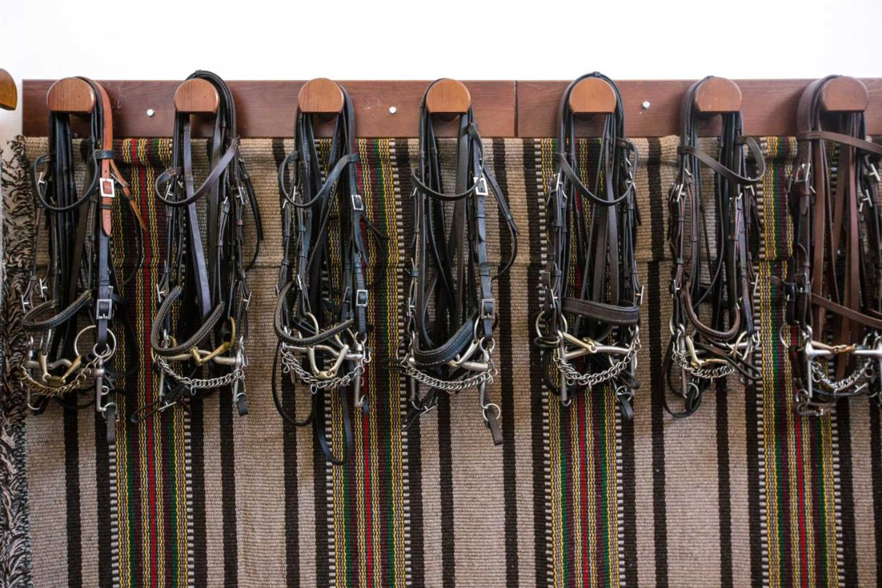 Gift card for Quinta do Rol