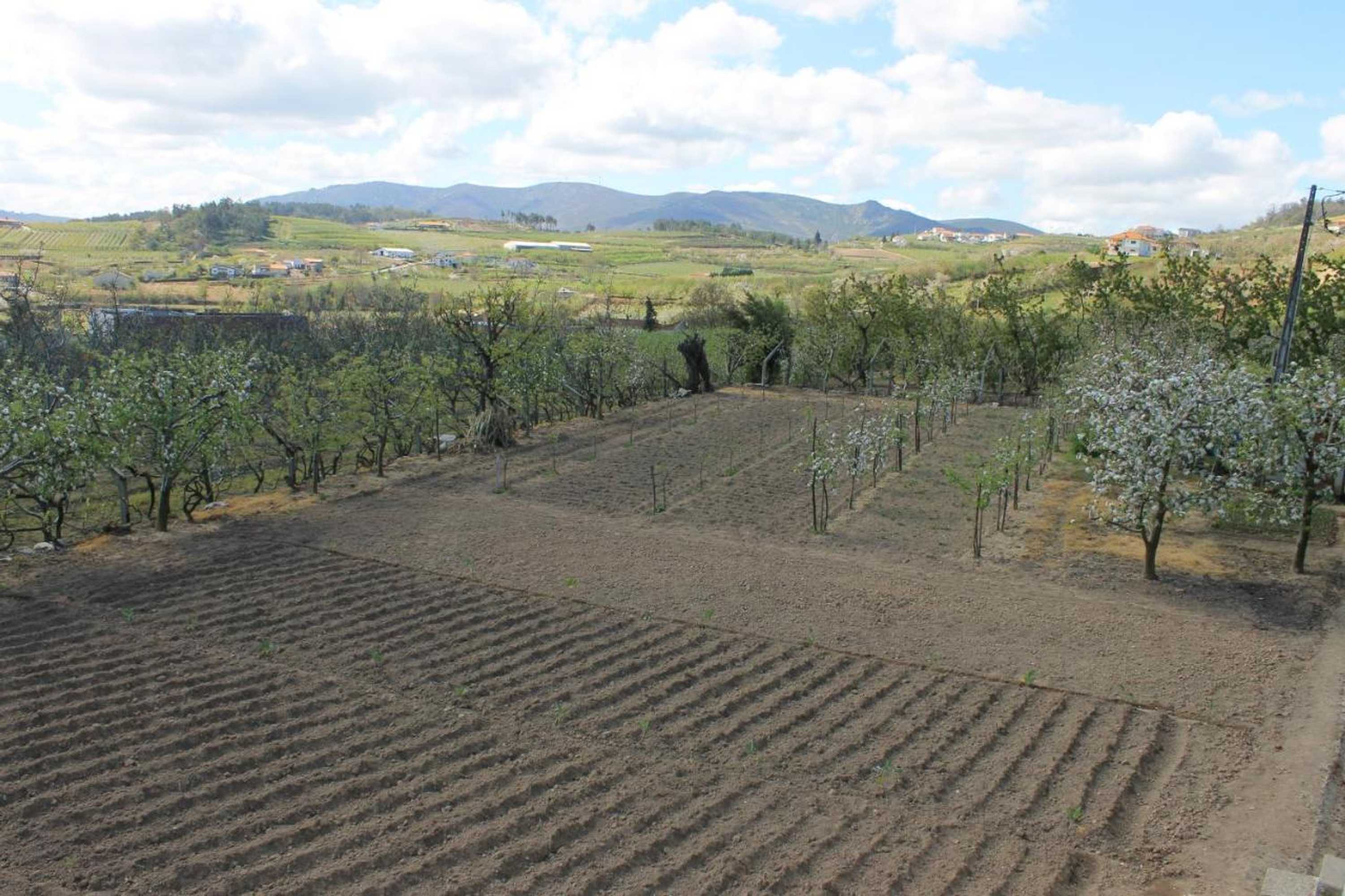 Gift card for Casa do Batista