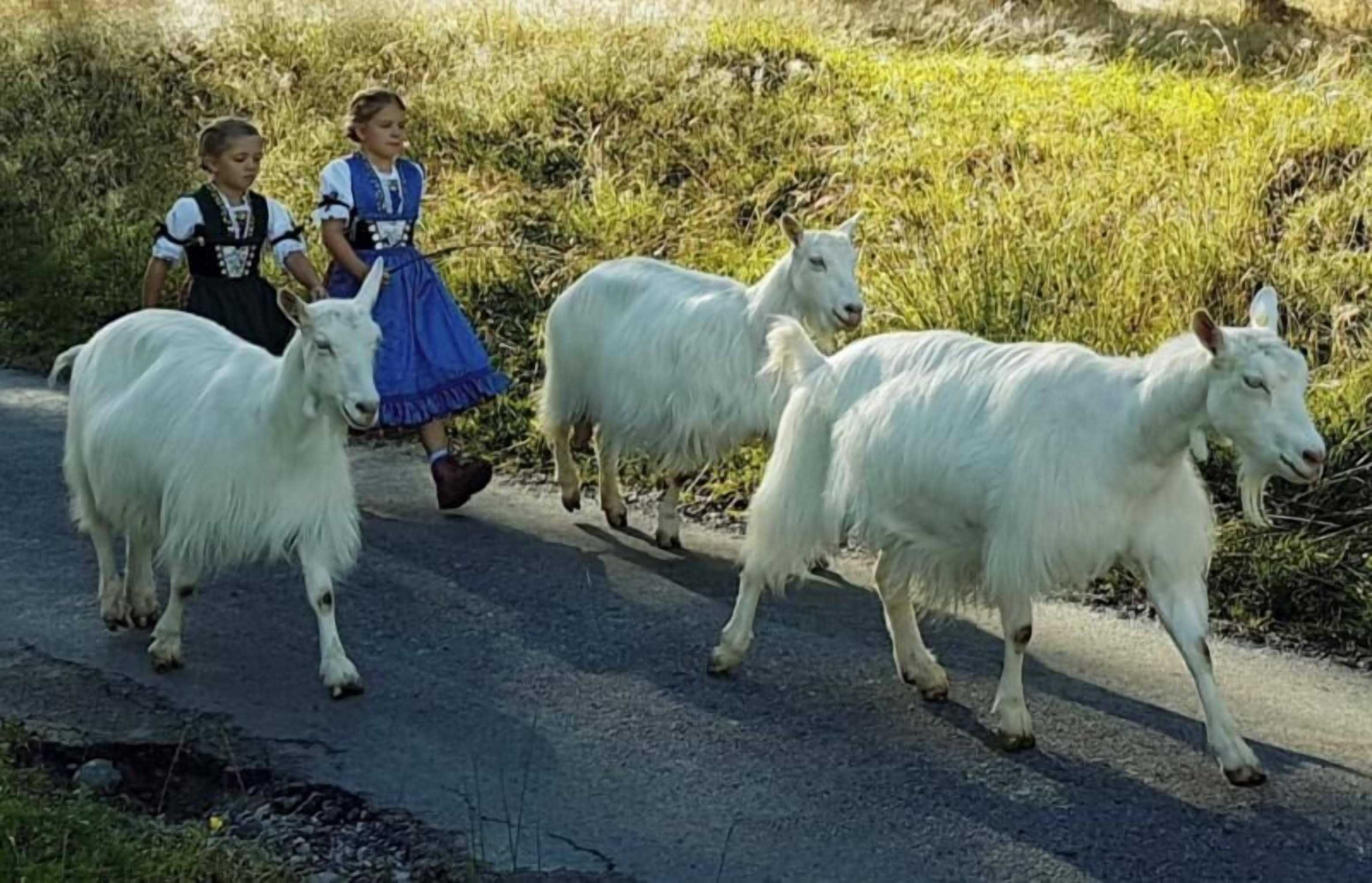 Gift card for Hotel- Restaurant Krone