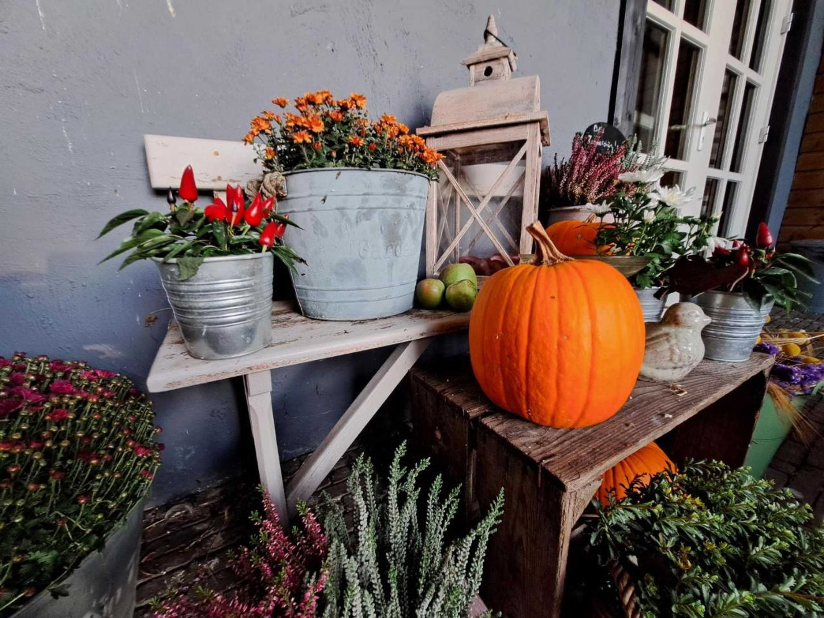 Gift card for De Stippelberg