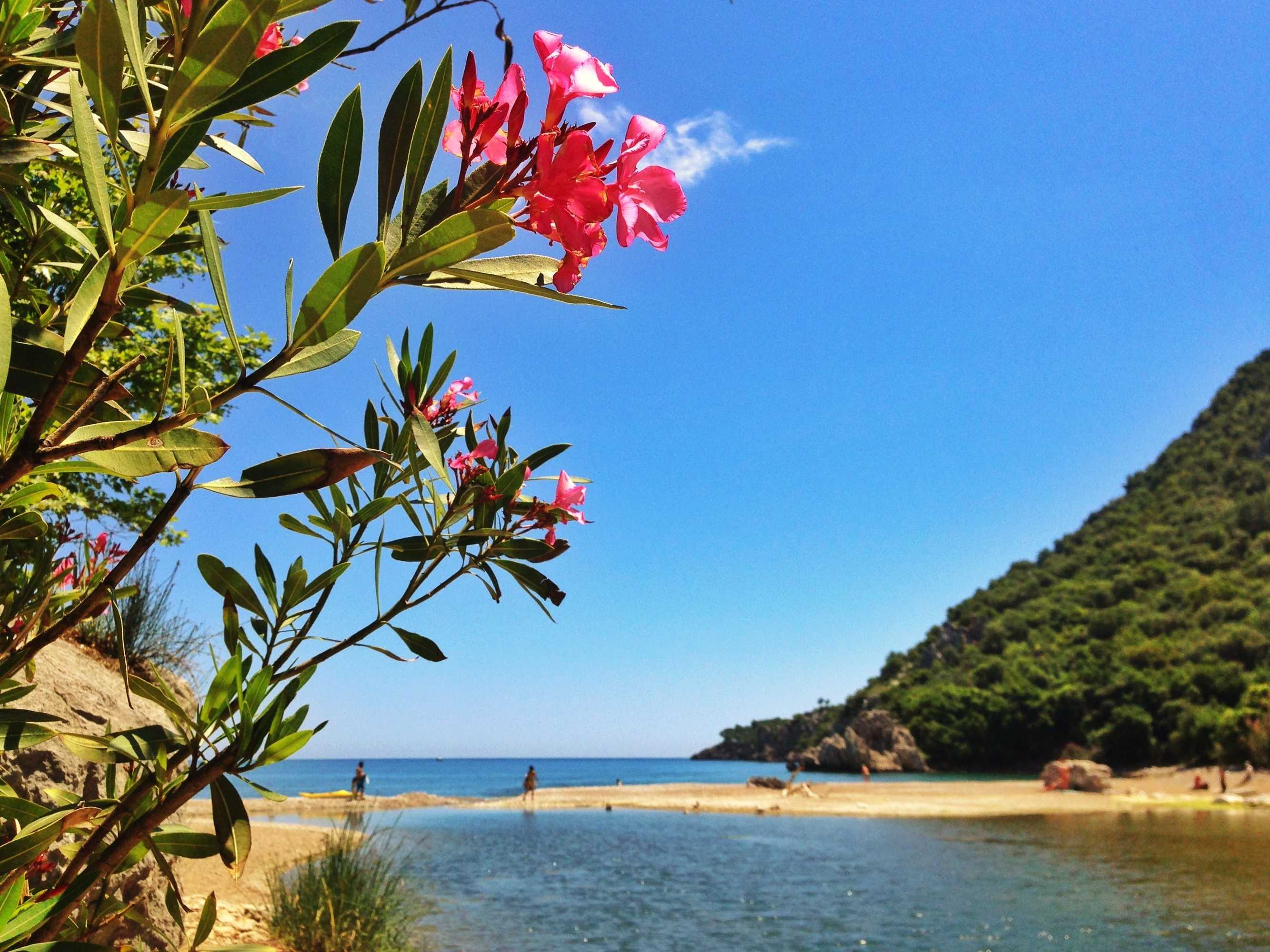 Gift card for Kadir's Tree Houses