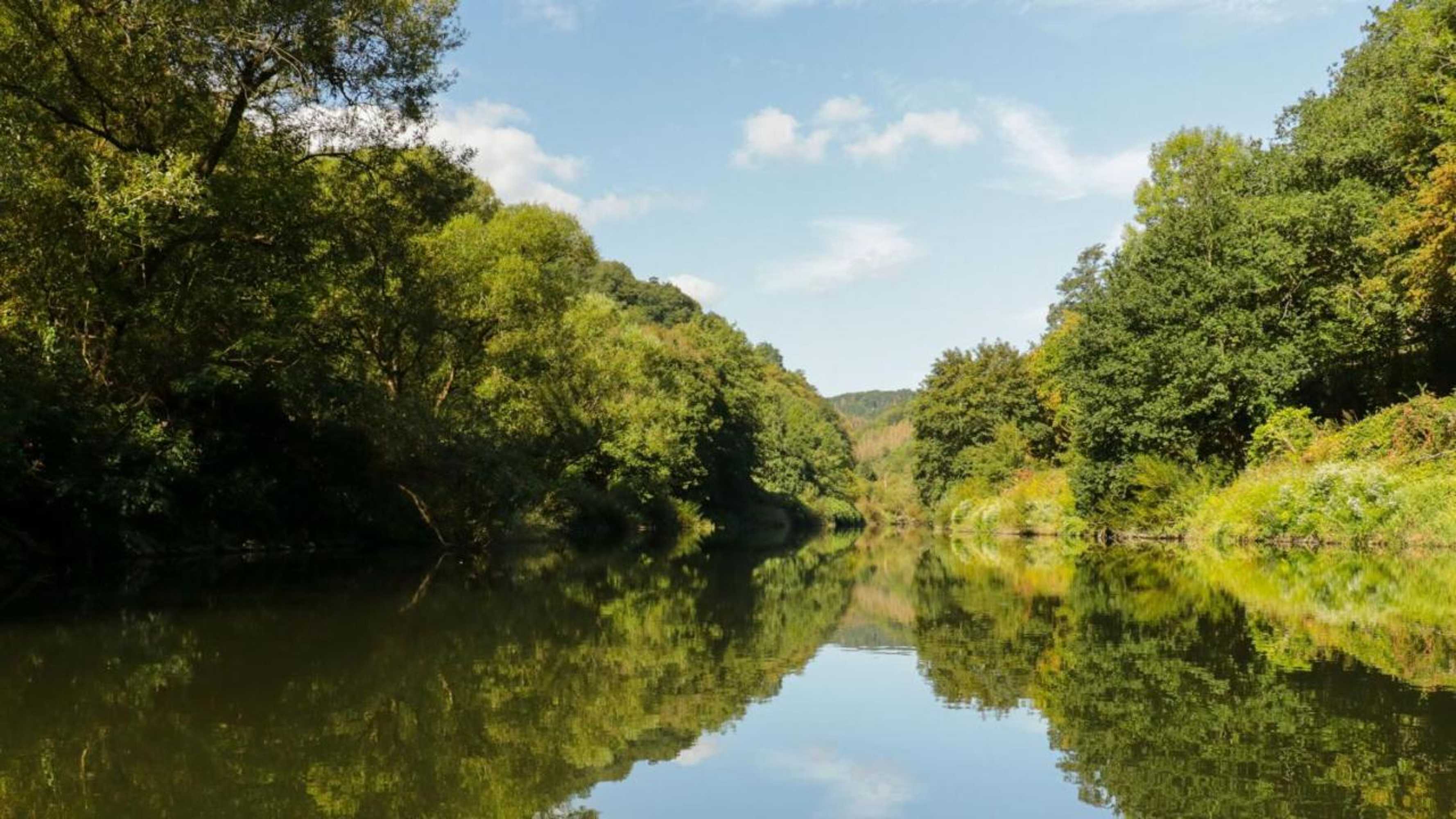 Gift card for Pension & Seminarhaus 