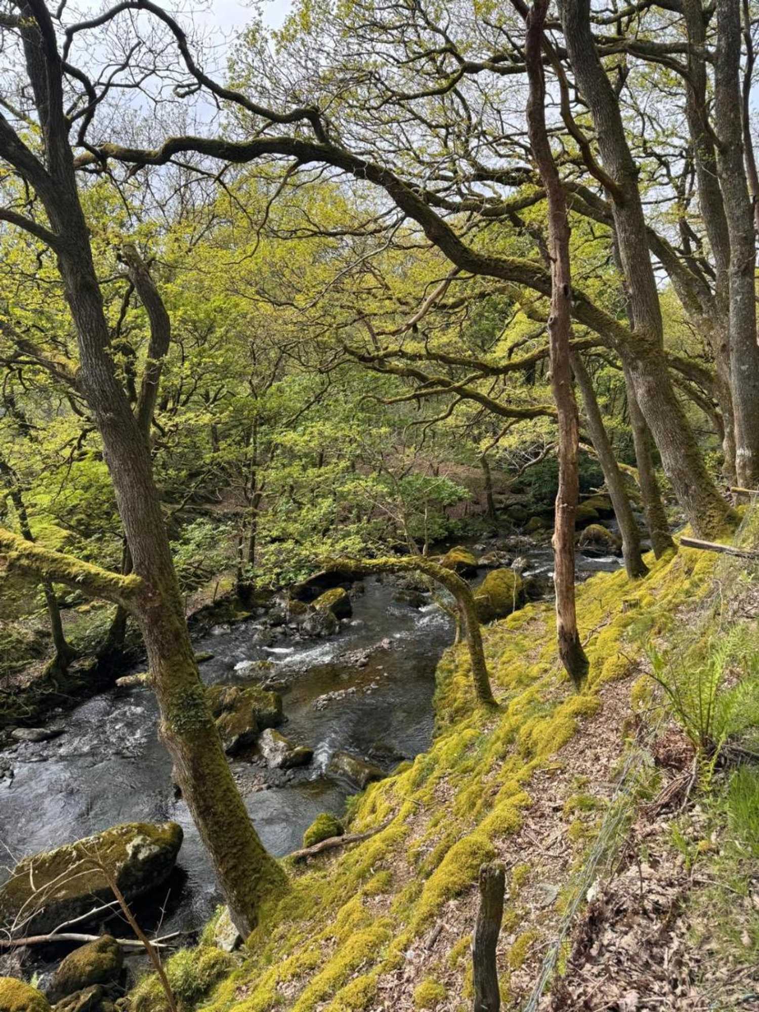 Gift card for Bala Holiday Suites