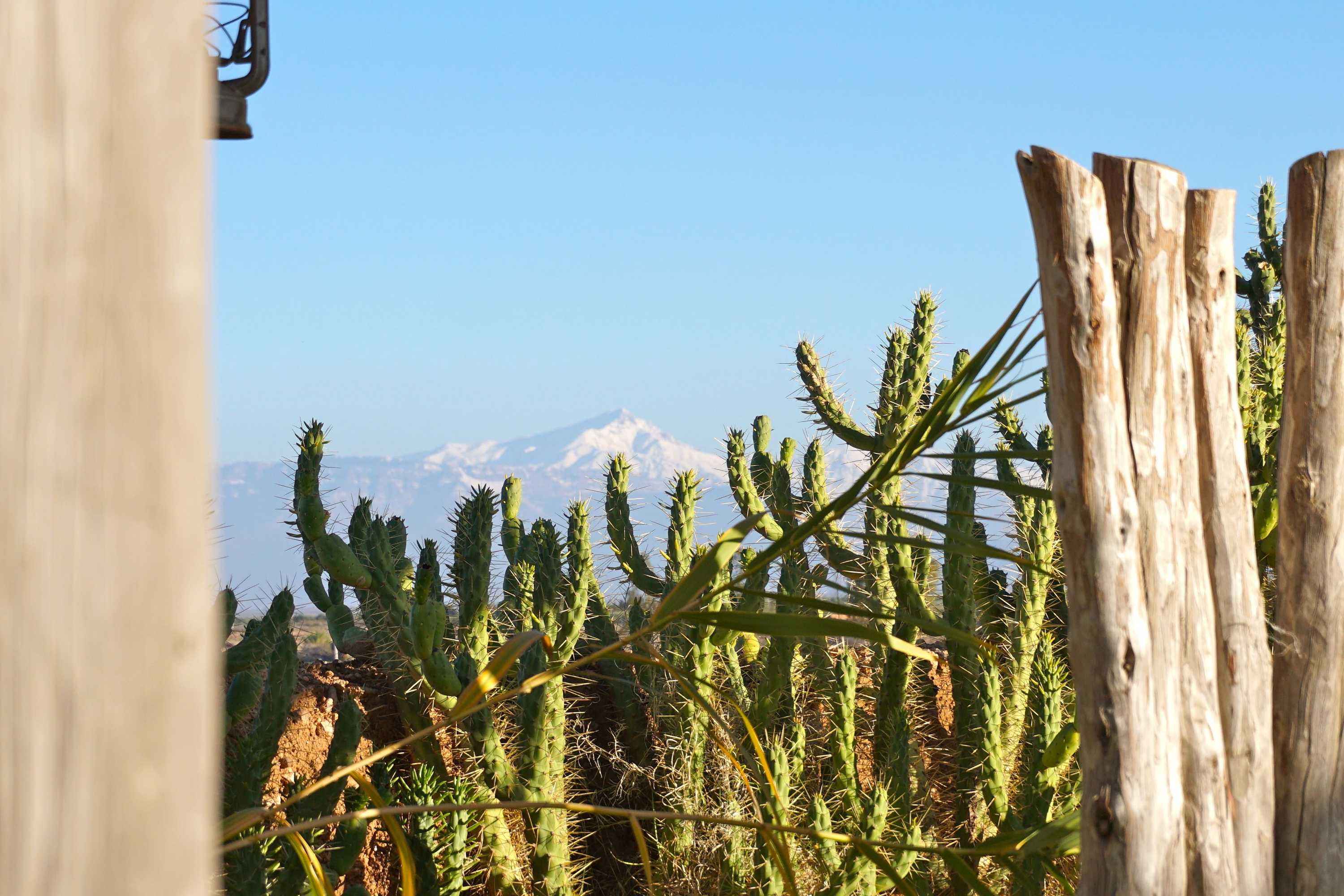 Gift card for La Parenthese de Marrakech Gift card for La Parenthese de Marrakech