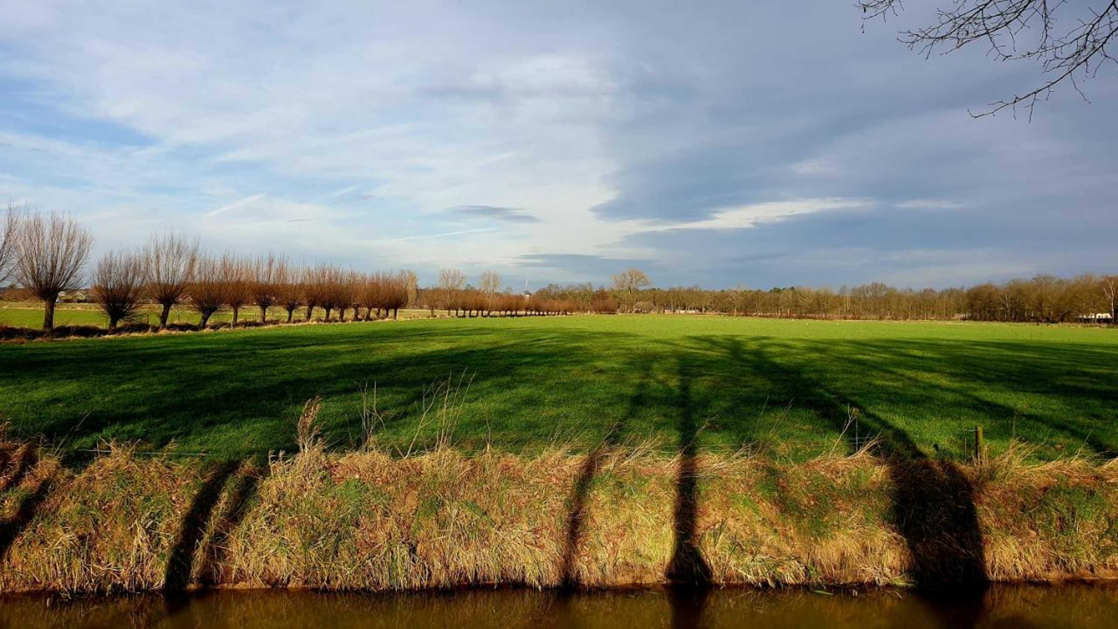 Gift card for B&b de Scherpenhof