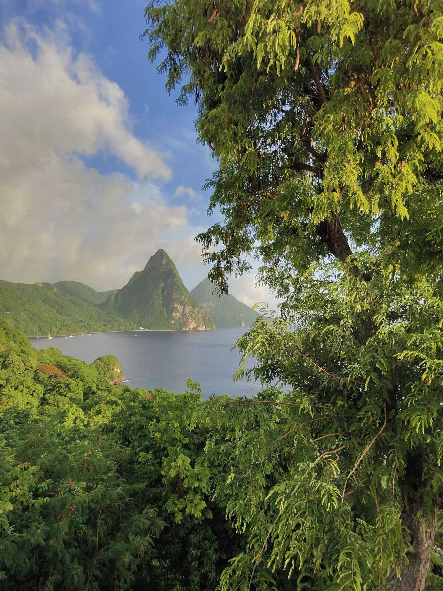 Gift card for Caille Blanc Villa & Hotel - Adults Only