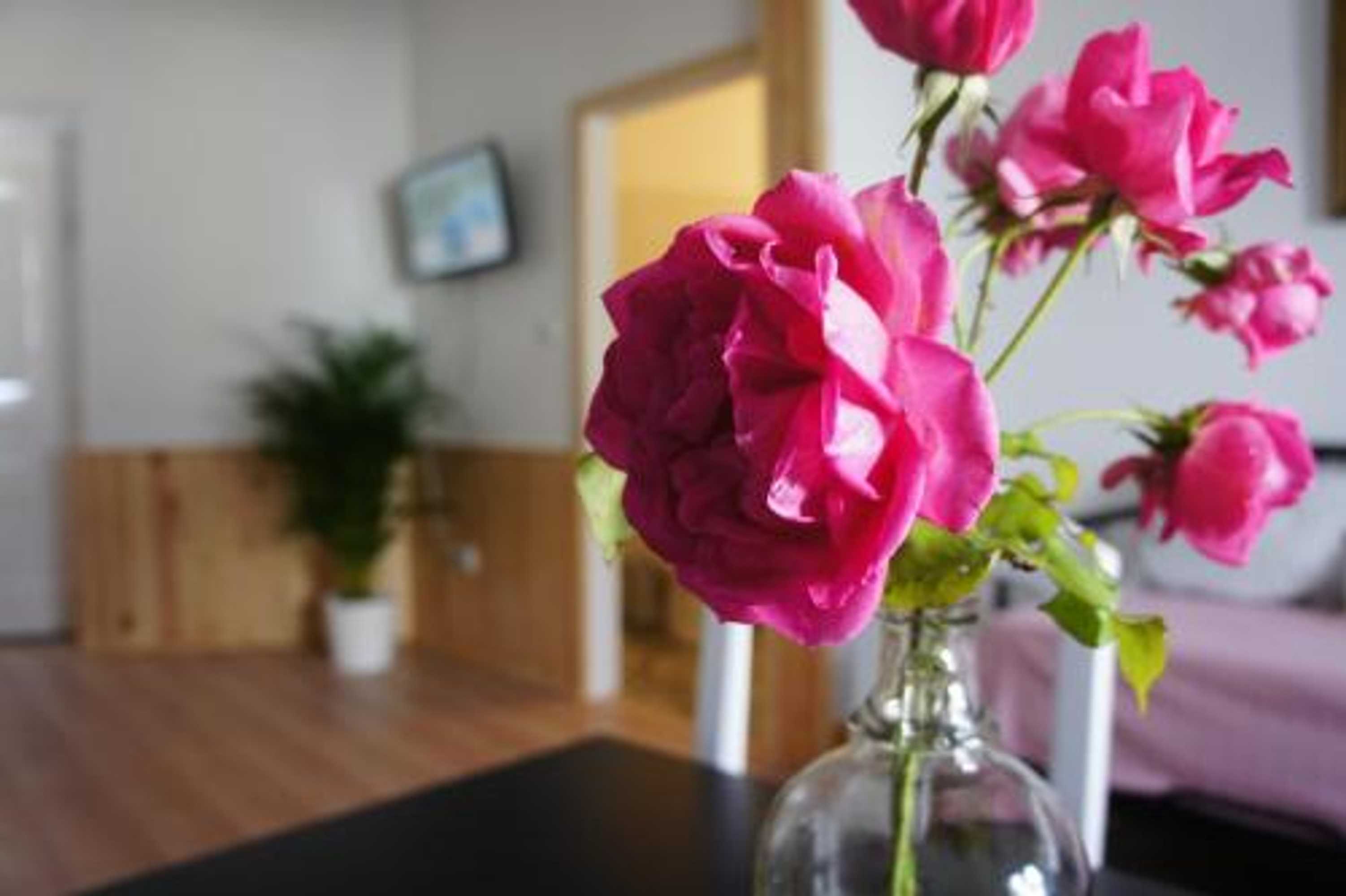 Gift card for Olive3 Ericeira Hostel Gift card for Olive3 Ericeira Hostel