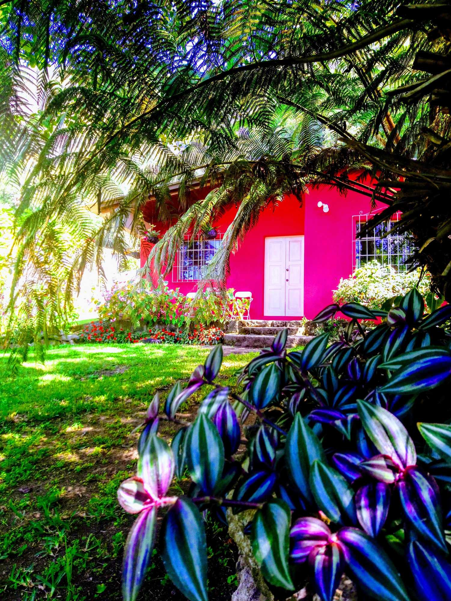 Gift card for Pink House Gift card for Pink House