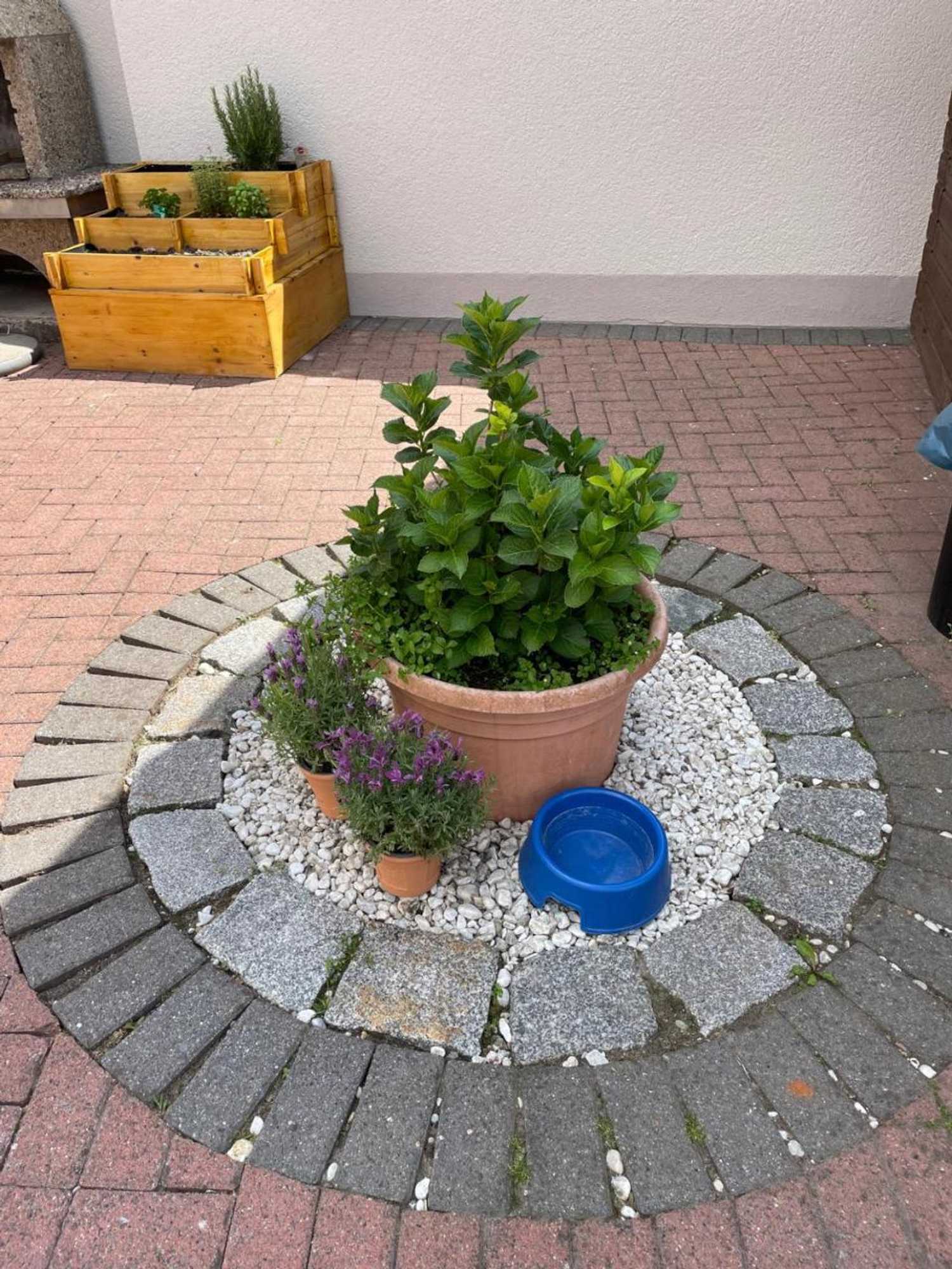 Gift card for Hotel Bueraner Hof