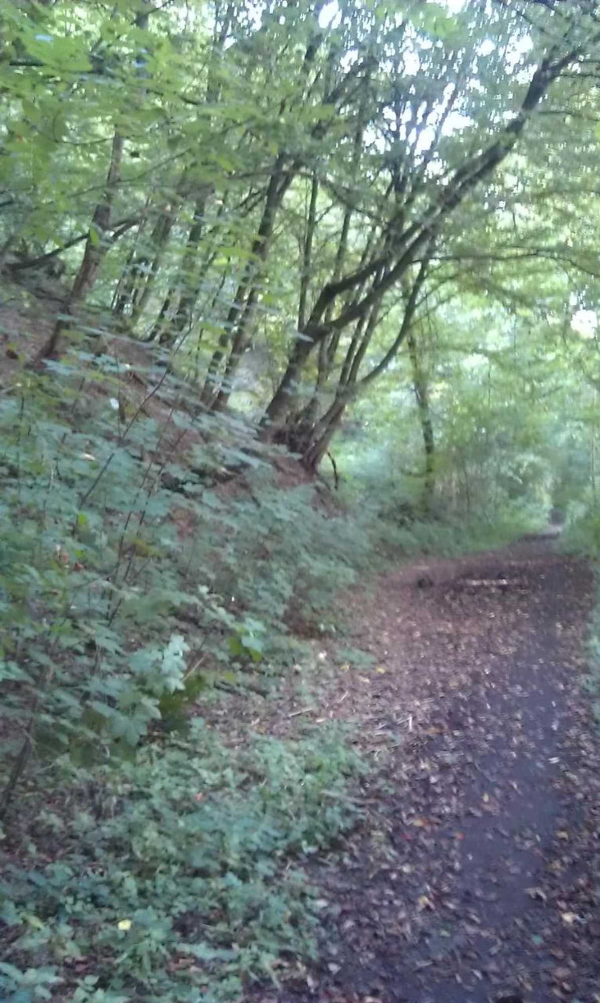 Gift card for Landhaus im Kühlen Grunde Garni